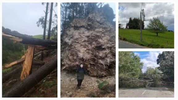 OCC Newsletter #13 Christmas Edition – celebrating community through all kinds of weather