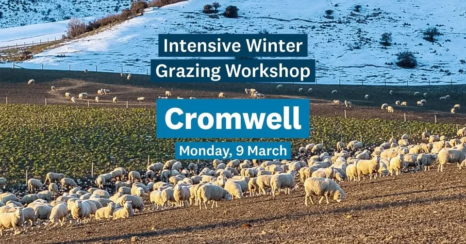 Intensive Winter Grazing Workshop (Cromwell)