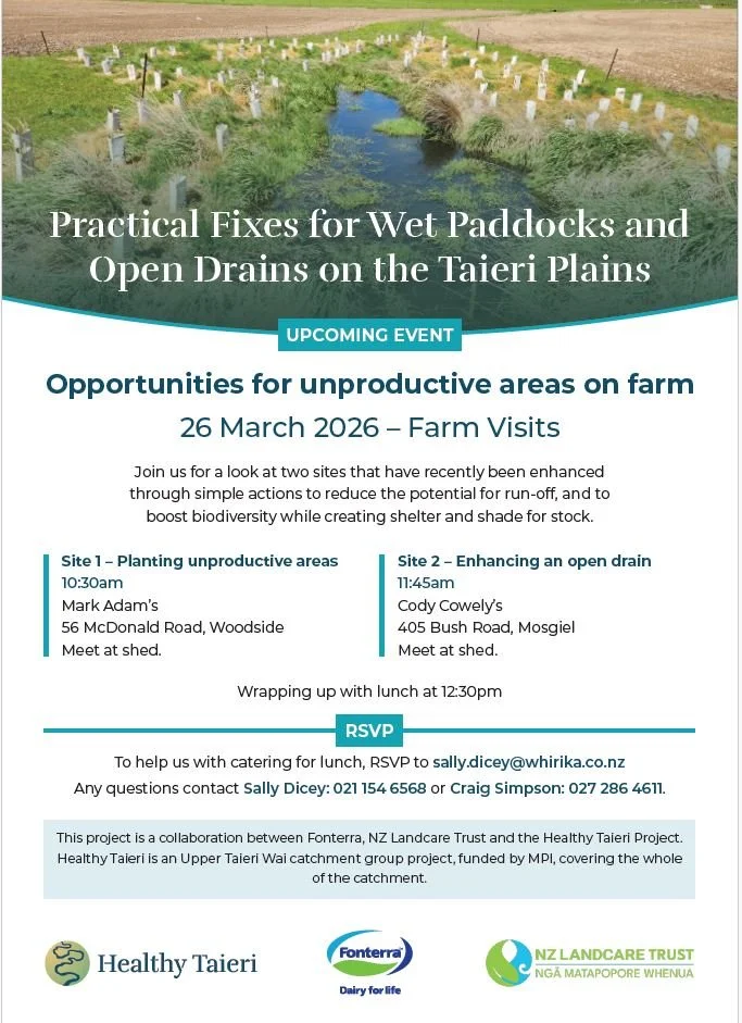 Practical Fixes for Wet Paddocks and Open Drains on the Taieri Plains