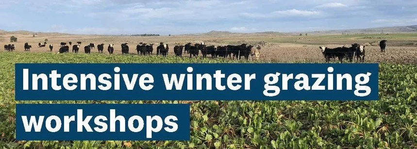Online intensive winter grazing workshop 
