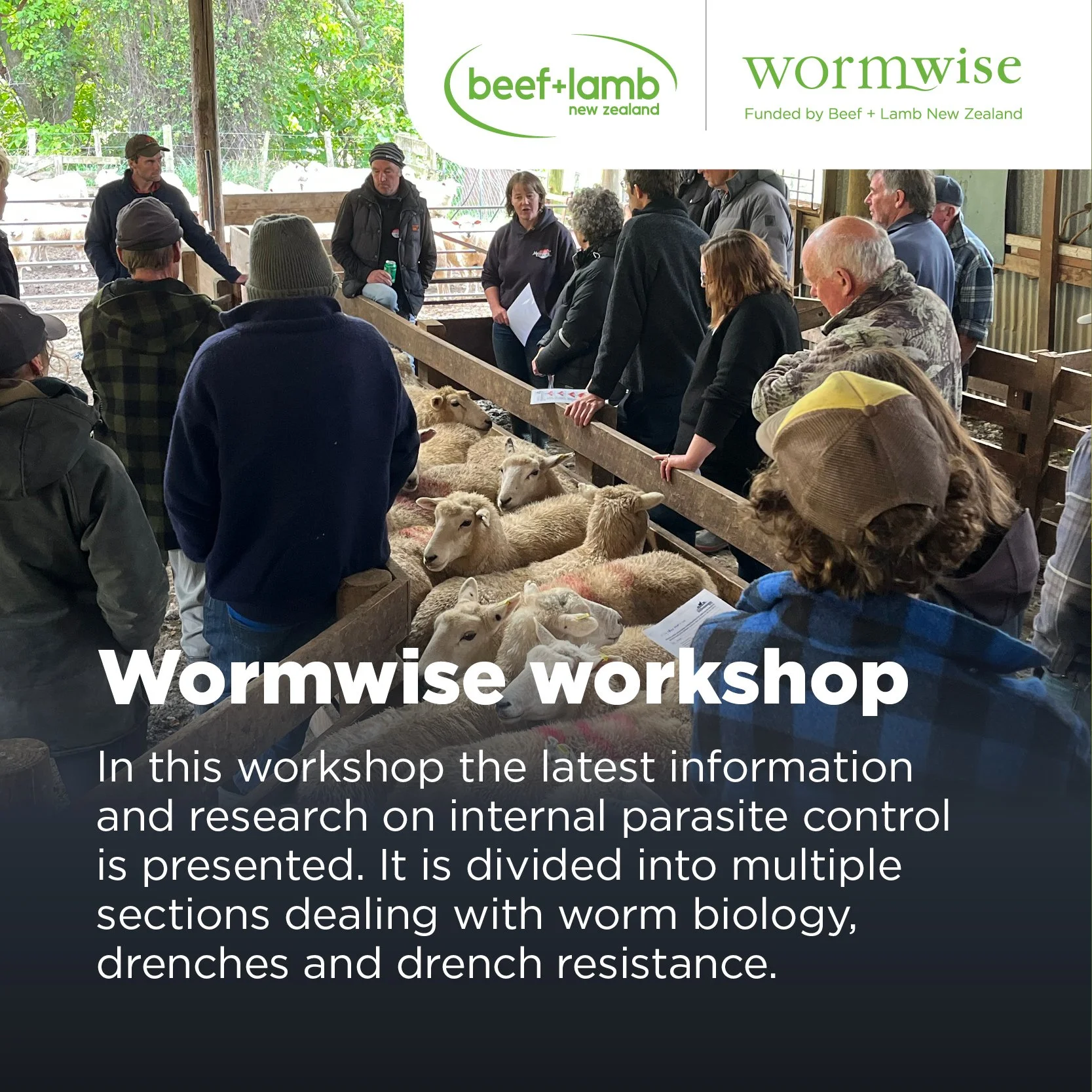 Beef + Lamb NZ - On-line Wormwise Webinar