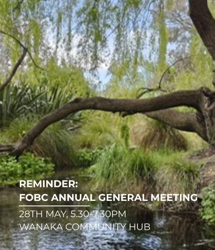 Friends of Bullock Creek - AGM