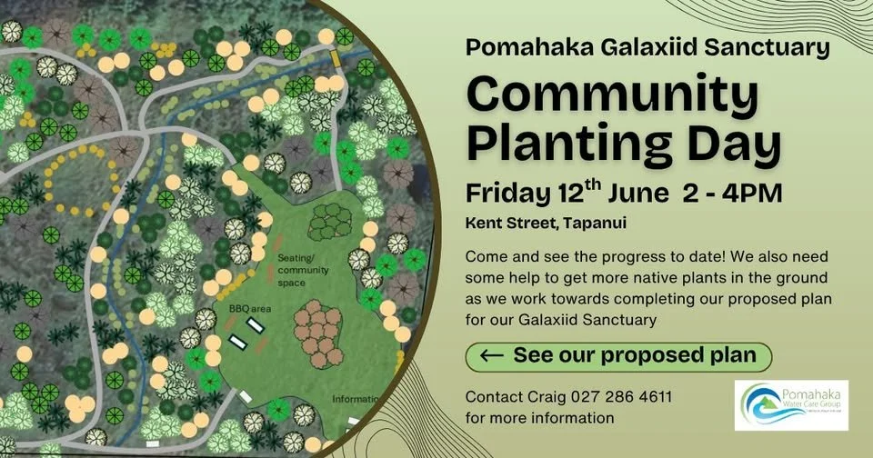 Pomahaka Galaxiid Sanctuary Community Planting Day