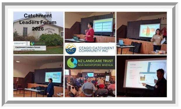 OCC’s Newsletter #14 June 2026