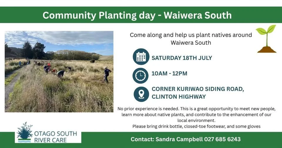 Community Planting day - Waiwera South