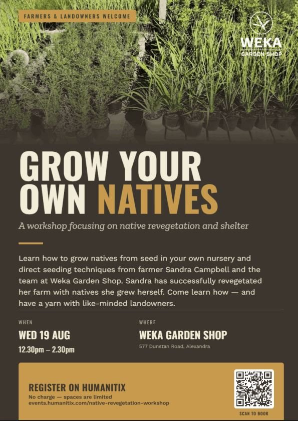 Grow Your Own Natives Workshop - Alexandra