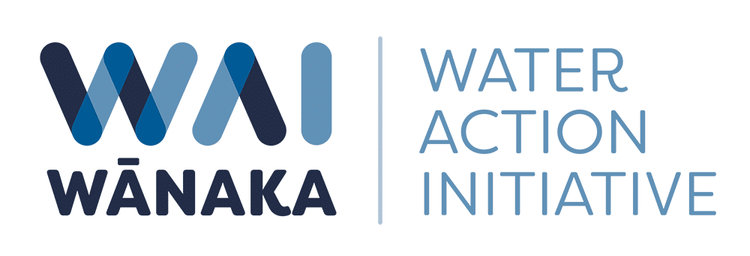 WAI Wānaka x RealNZ Community Car Wash
