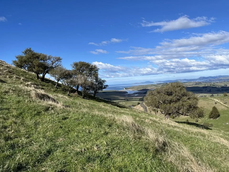 On Farm Biodiversity Field Day