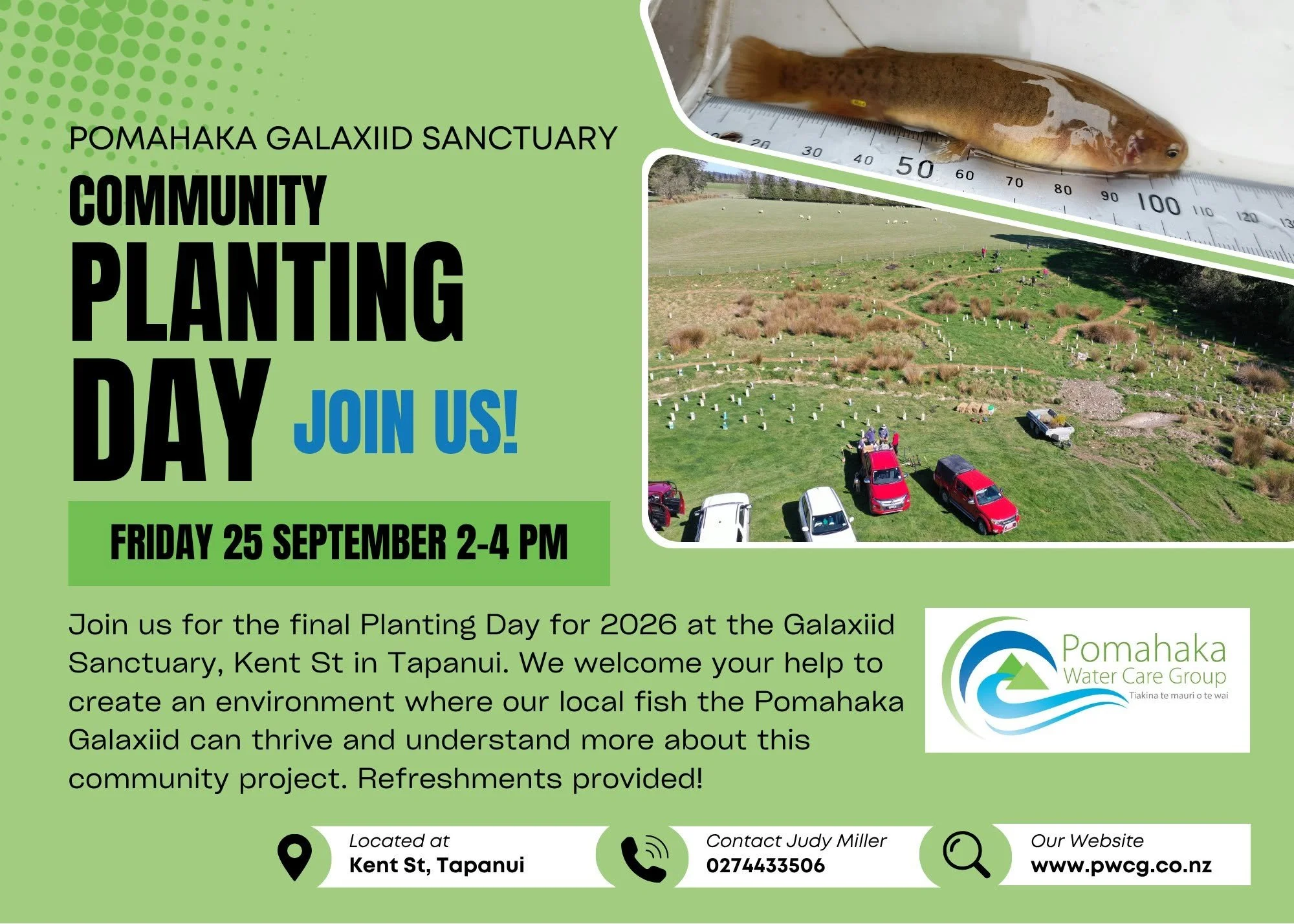 Pomahaka Galaxiid Sanctuary Community Planting Day