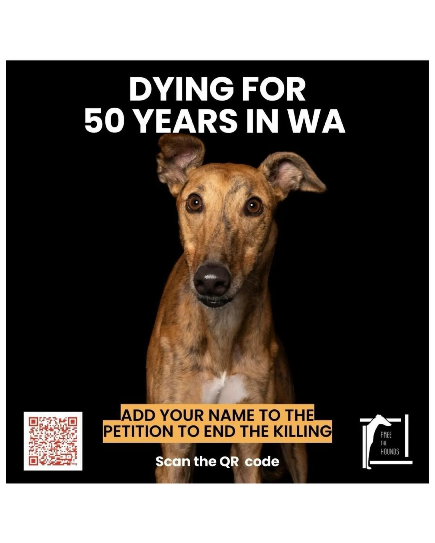 Repost from @freethehounds
•
Greyhound racing is an outdated, inhumane and unsustainable sport. Please help us end it in WA by adding your name to our petition. 
Follow the link in our bio or scan the QR code, every signature counts.
Help us h
