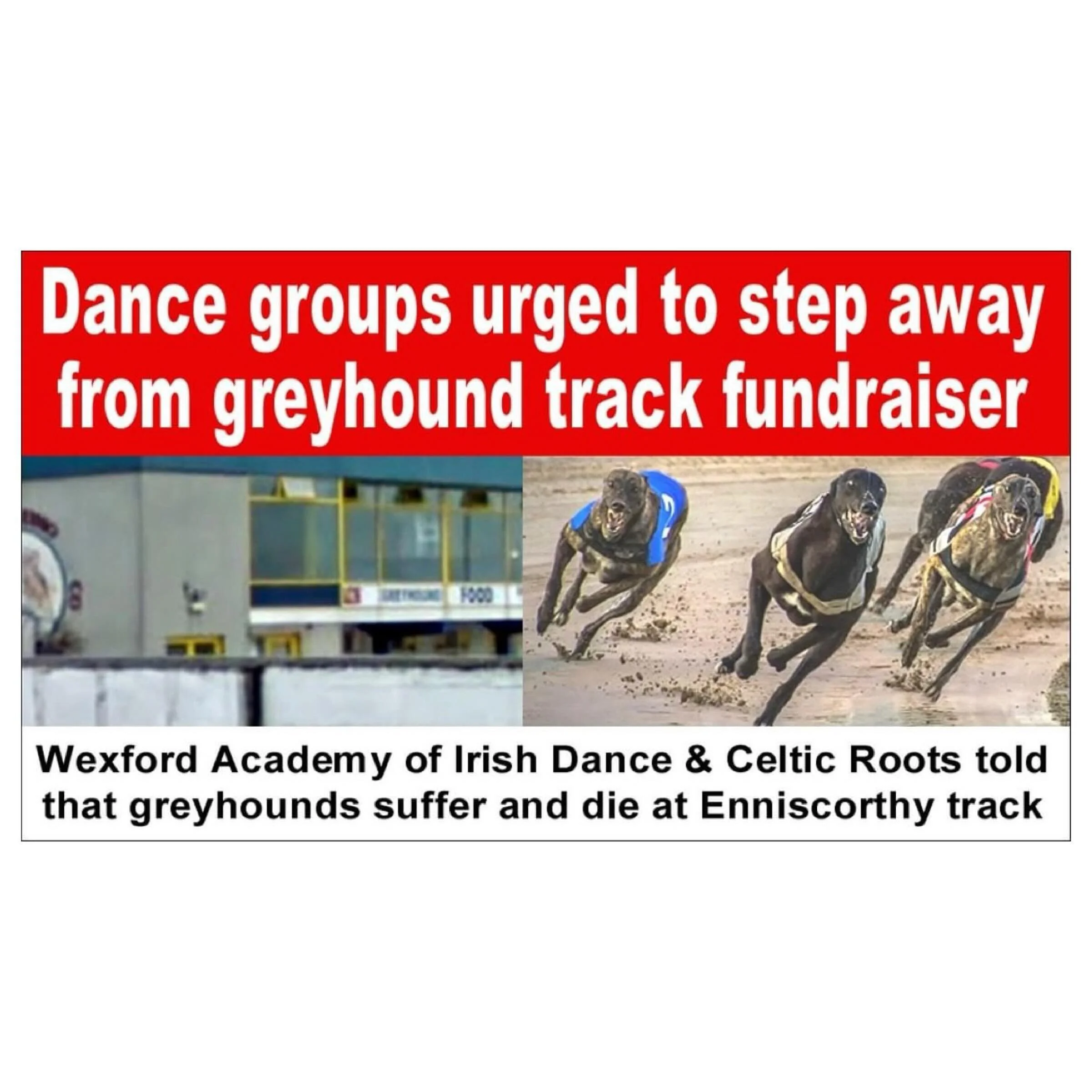 Repost from @banbloodsports
•
Join us in urging Wexford Academy of Irish Dance and Celtic Roots to step away from an announced “Race Night” at a greyhound track where dogs suffer painful injuries and are killed.
The two dance groups