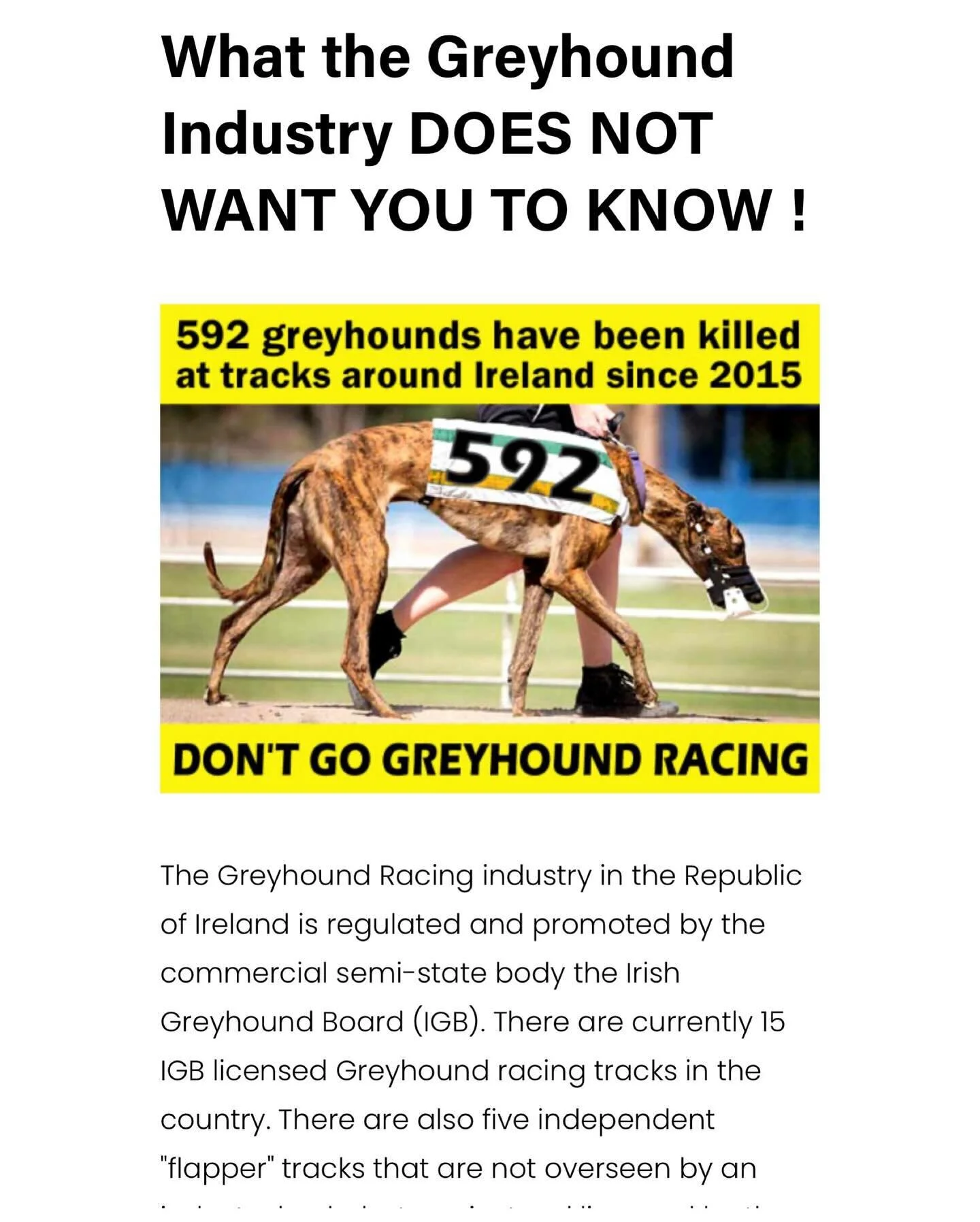 Greyhounds are originally from Ireland and so so many years Greyhounds are been horrifically abused globally. The Irish government continues to prop up this barraric industry.
Find out what you can do to help!! 
https://www.globaljusticeforgreyhoun