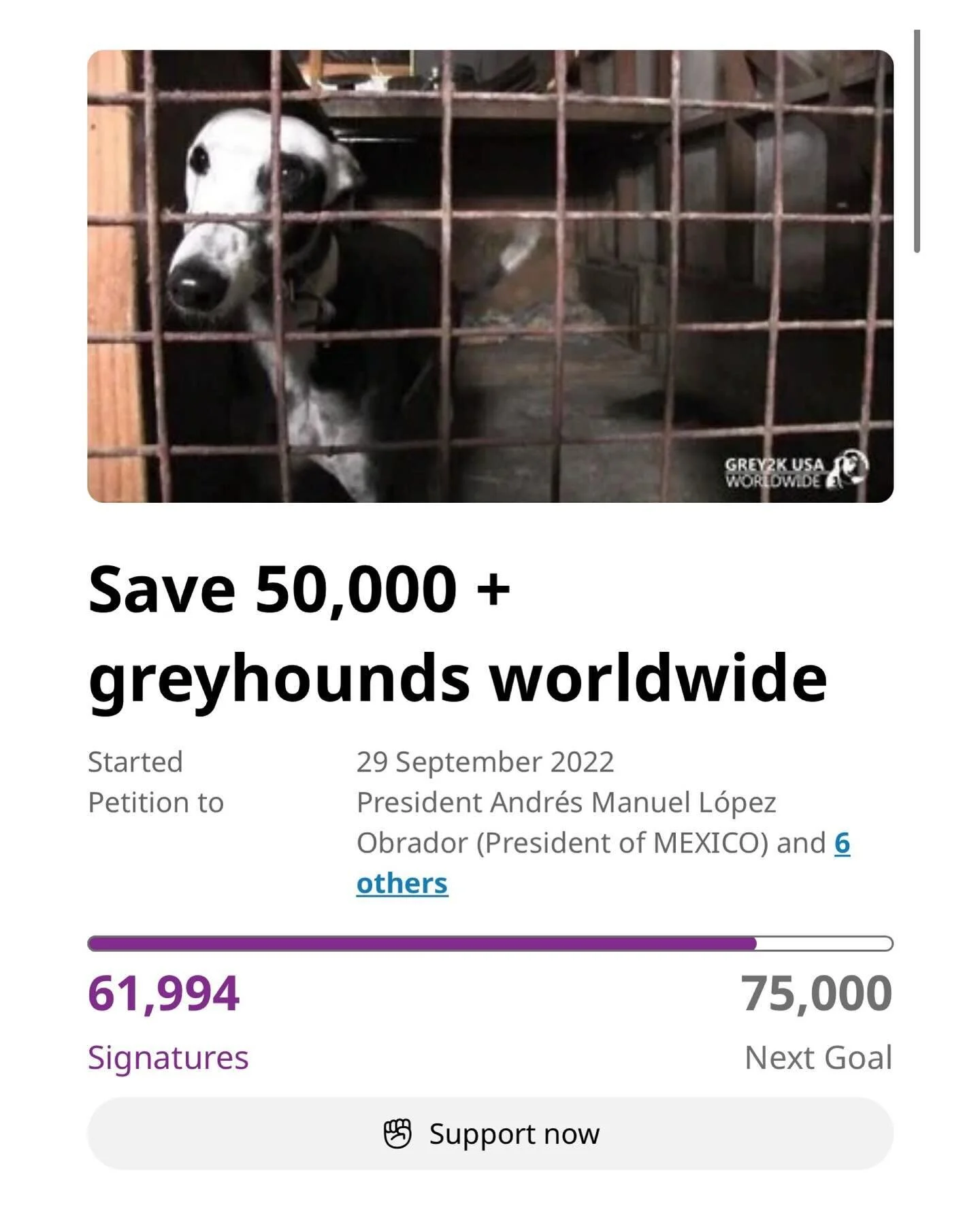 Please sign and share #stopgreyhoundracing #savethegreyhounds 
Greyhound racing is cruel and inhumane and must stop. At least 50,000 innocent hounds are now racing at over 100 tracks worldwide. They face injury and death, drugging (and worse) at eve