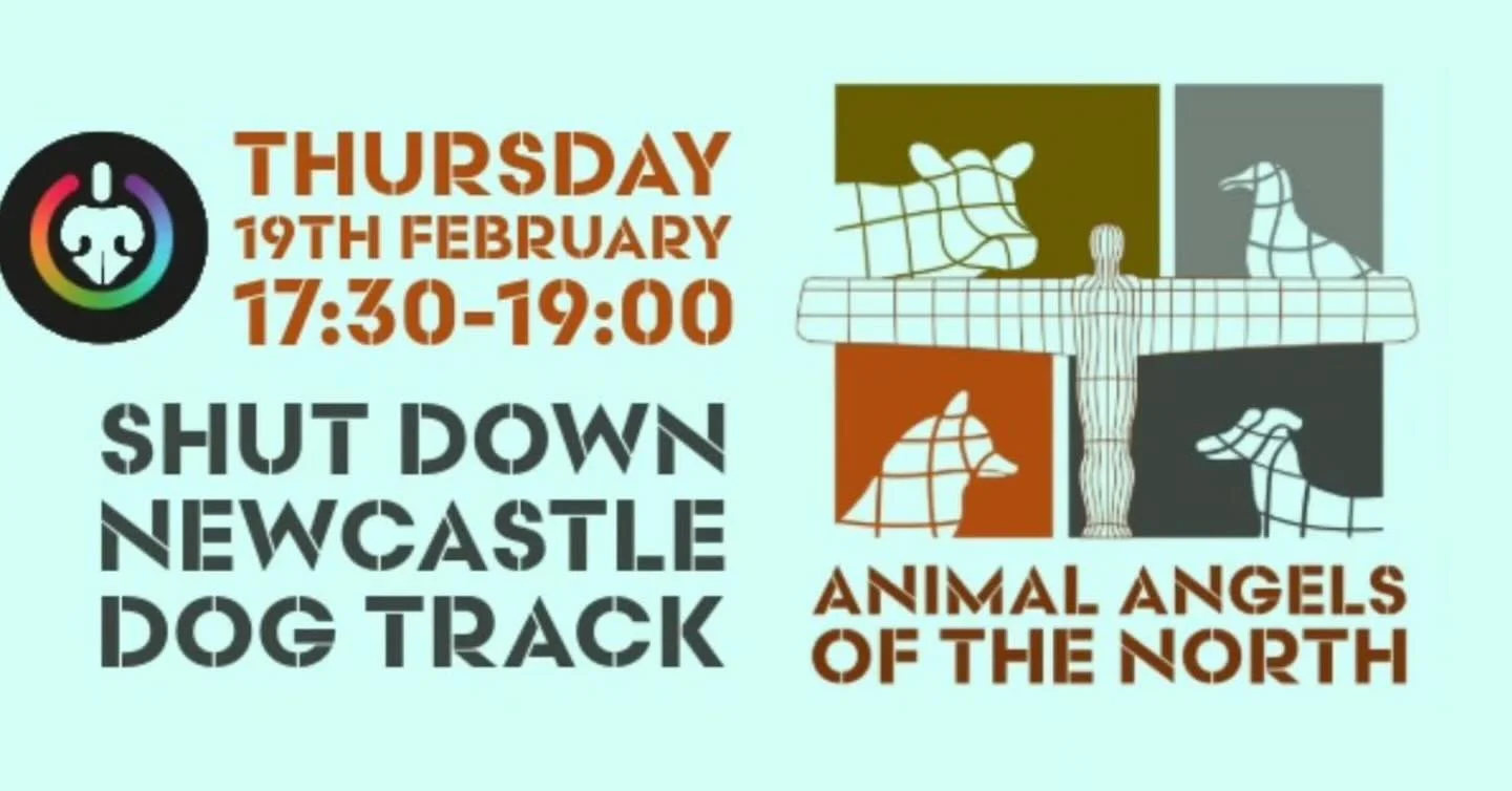 #Repost @animalangelsnorth
・・・
Join us this Thursday to protest at Newcastle Dog Track.

Gather from 17:30, and we&rsquo;ll wrap up by 19:00.

Placards provided, but feel free to bring your own :)