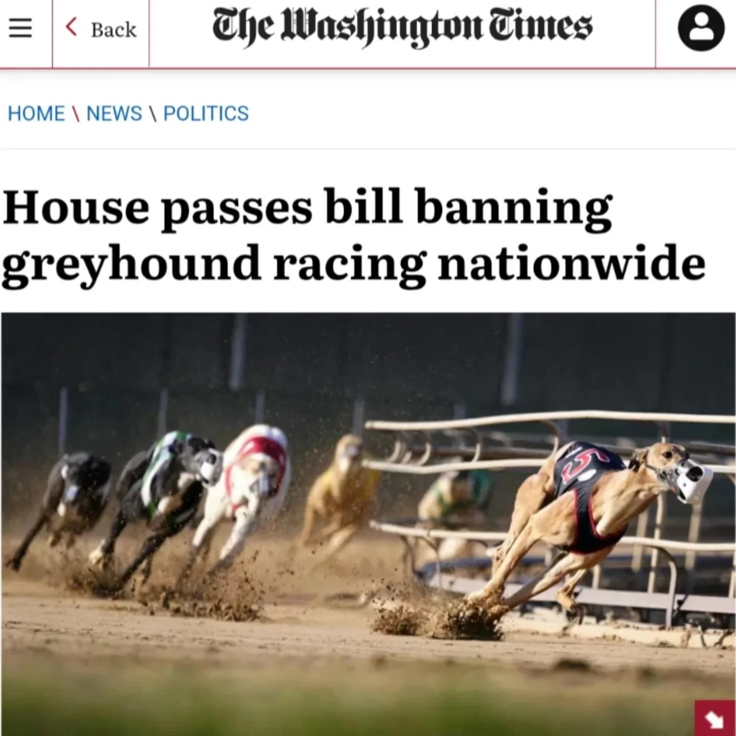 #Repost @cagednw
・・・
House lawmakers voted on Thursday to ban&nbsp;greyhound racing, a betting sport already prohibited in many states, thanks to pressure from animal rights organizations.

The measure is included in the House farm bill reauthorizati