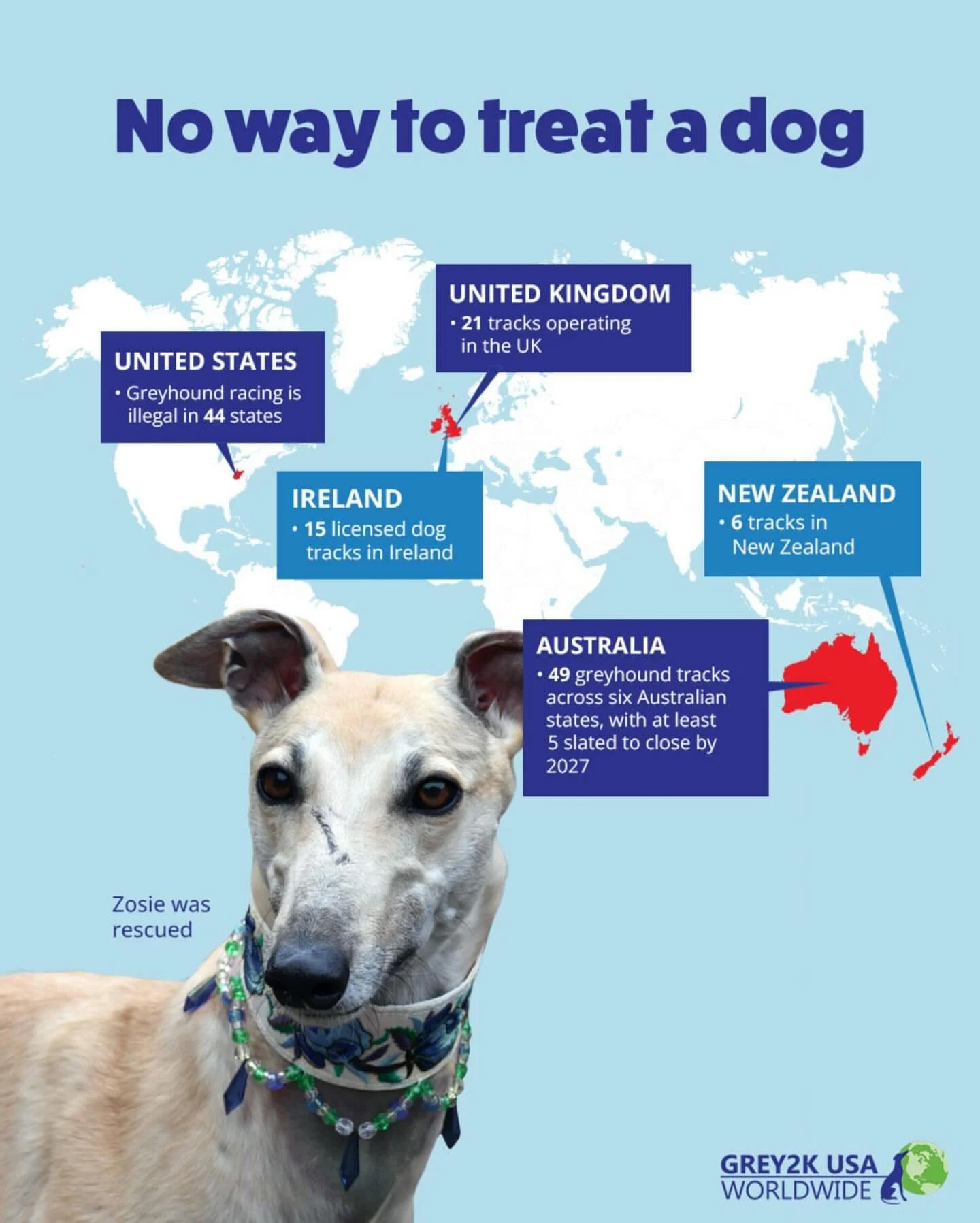 #Repost @grey2kusa
・・・
Zosie of the UK says, &ldquo;Let&rsquo;s end dog racing worldwide!&rdquo;

https://actionnetwork.org/letters/end-dog-racing-in-the-united-kingdom/

#bangreyhoundracing #bandogracing