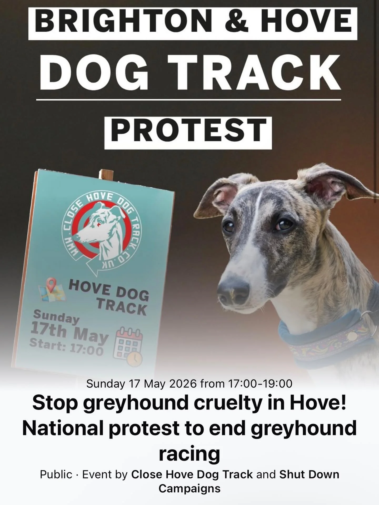 Please join us in Hove as part of a national weekend of protests organised by Shut Down Campaigns to end greyhound racing in England! 

In 2024, a dog died on a British racetrack every three days. Tens of thousands of dogs are bred every year in Brit