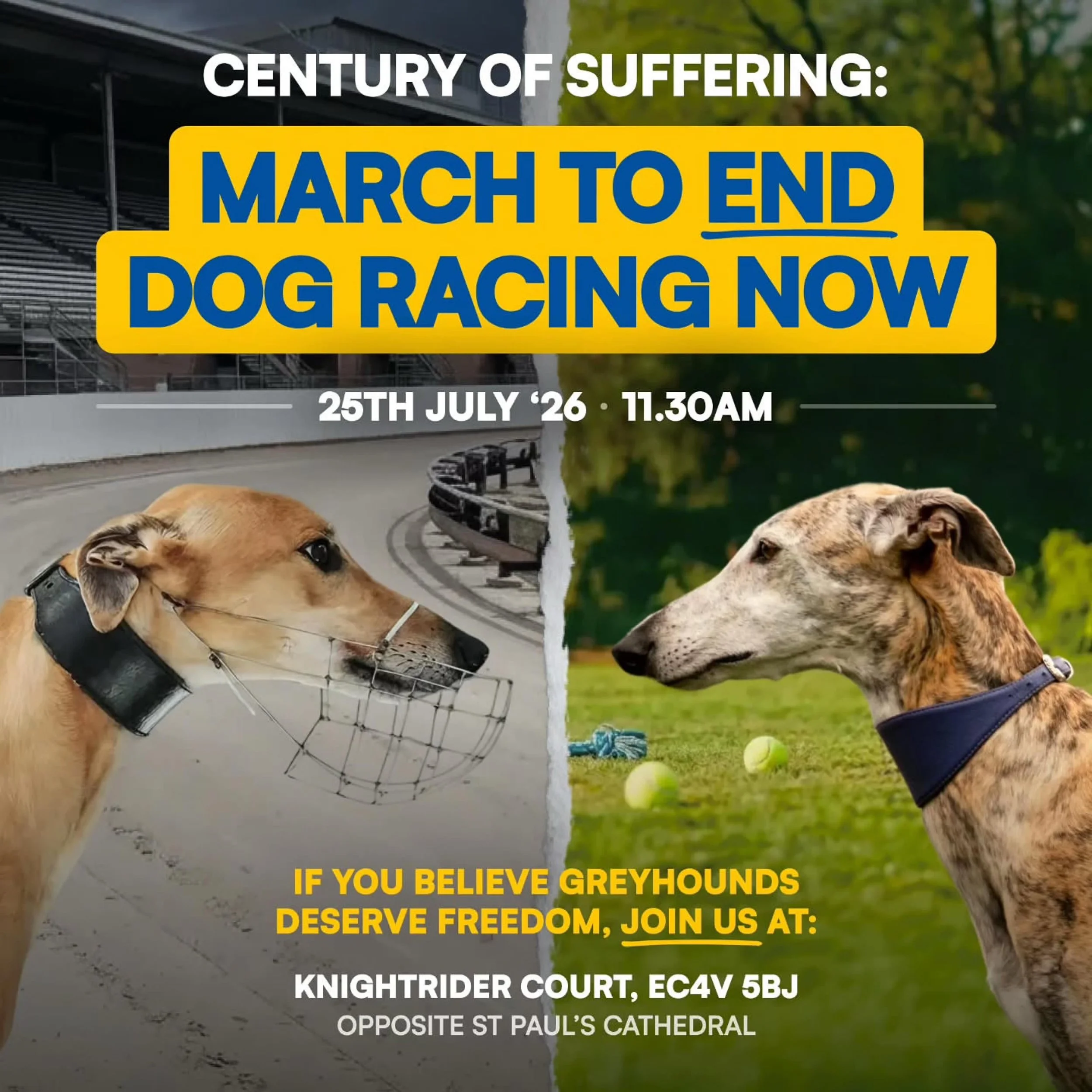 #Repost @shutdown.campaigns
・・・
CENTURY OF SUFFERING - MARCH ROUTE and GUIDANCE! 25th July, London.

Full details for the marching route and guidance, including what to bring, is now available in the above images!

Plain text summary: 

Meeting at th