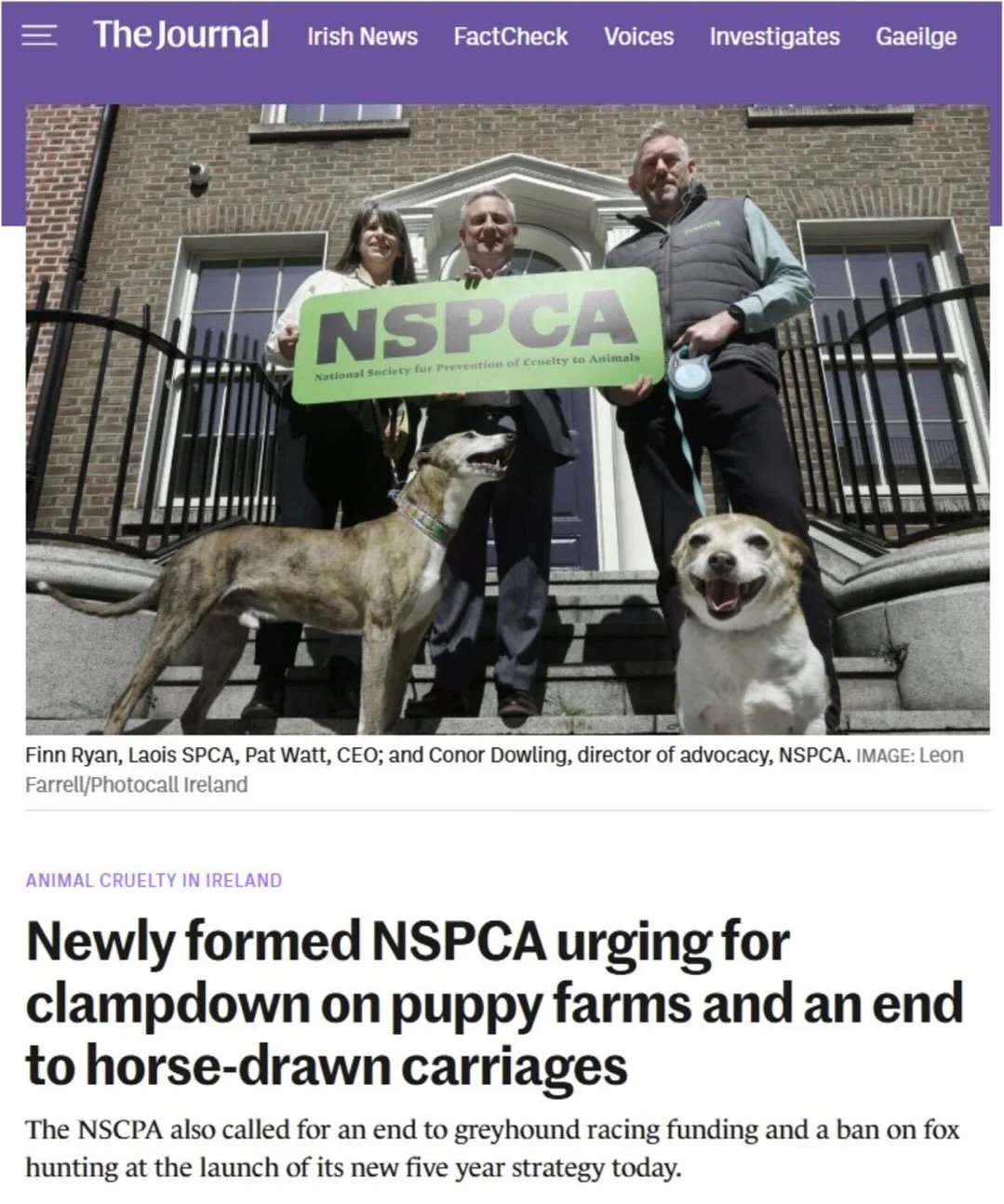 #Repost @party4animalwelfare
・・・
🐾 For years, Party for Animal Welfare (PAW) has campaigned tirelessly against cruelty to animals in Ireland and beyond &mdash; from sulky racing, greyhound racing, horseracing, hare coursing, fox hunting, puppy farms