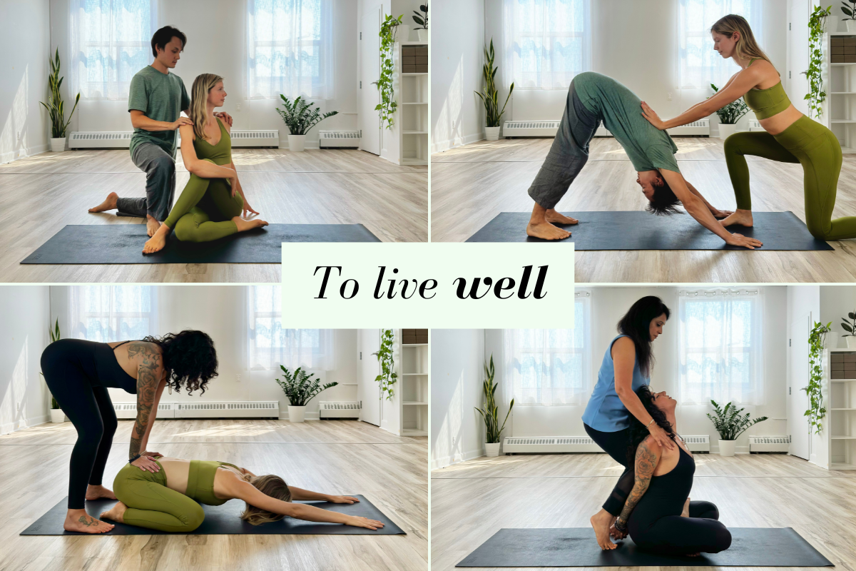 Highly skilled yoga teachers leading yoga classes in North York, Toronto, helping students improve alignment and deepen their practice with hands-on adjustment.