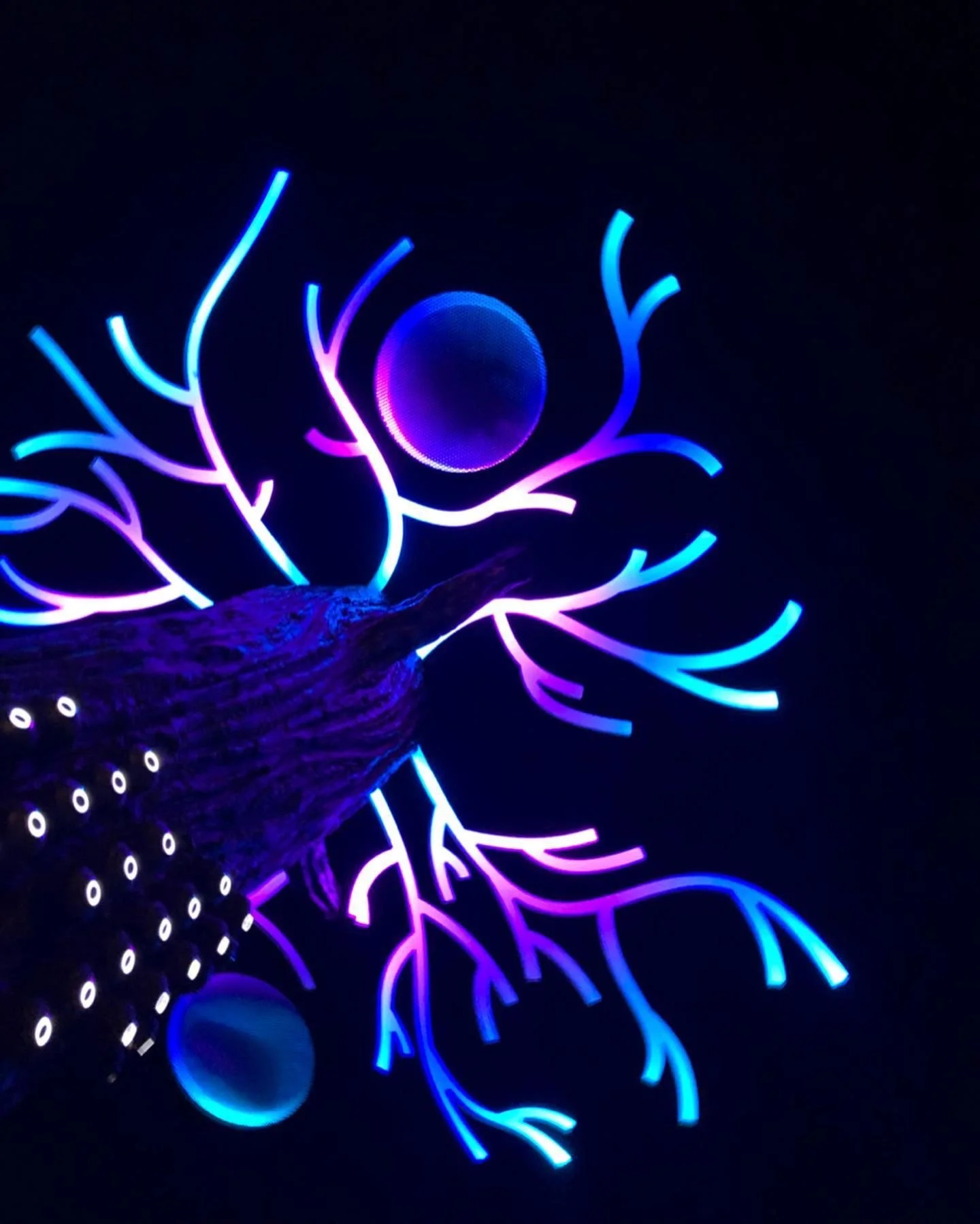 The Singing Tree lit up (2019)
Anythink Library, Pearl Mack Branch
Scenic Charge Artist