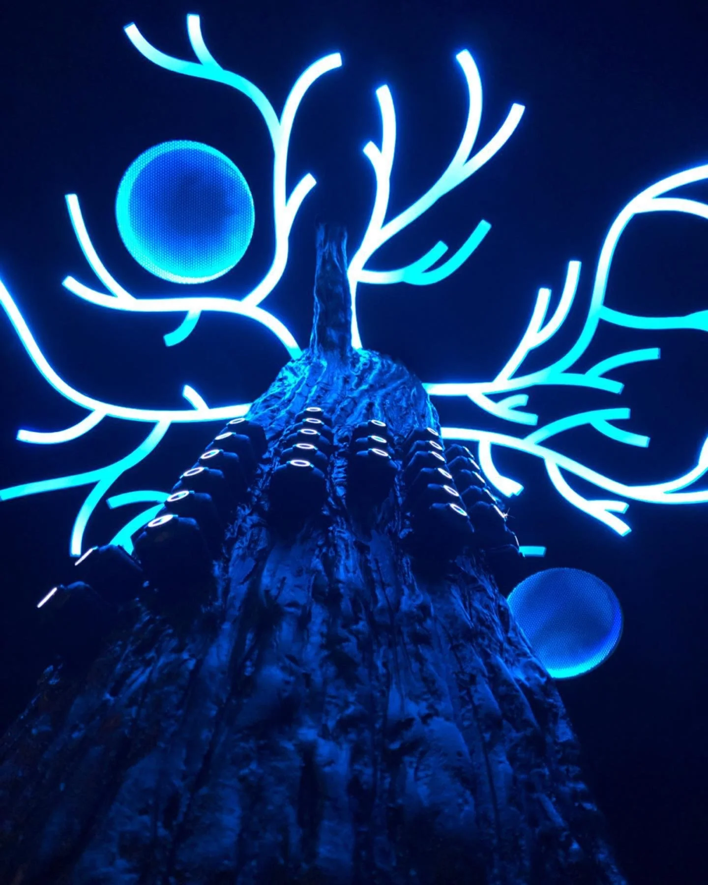 The Singing Tree lit up (2019)
Anythink Library, Pearl Mack Branch
Scenic Charge Artist