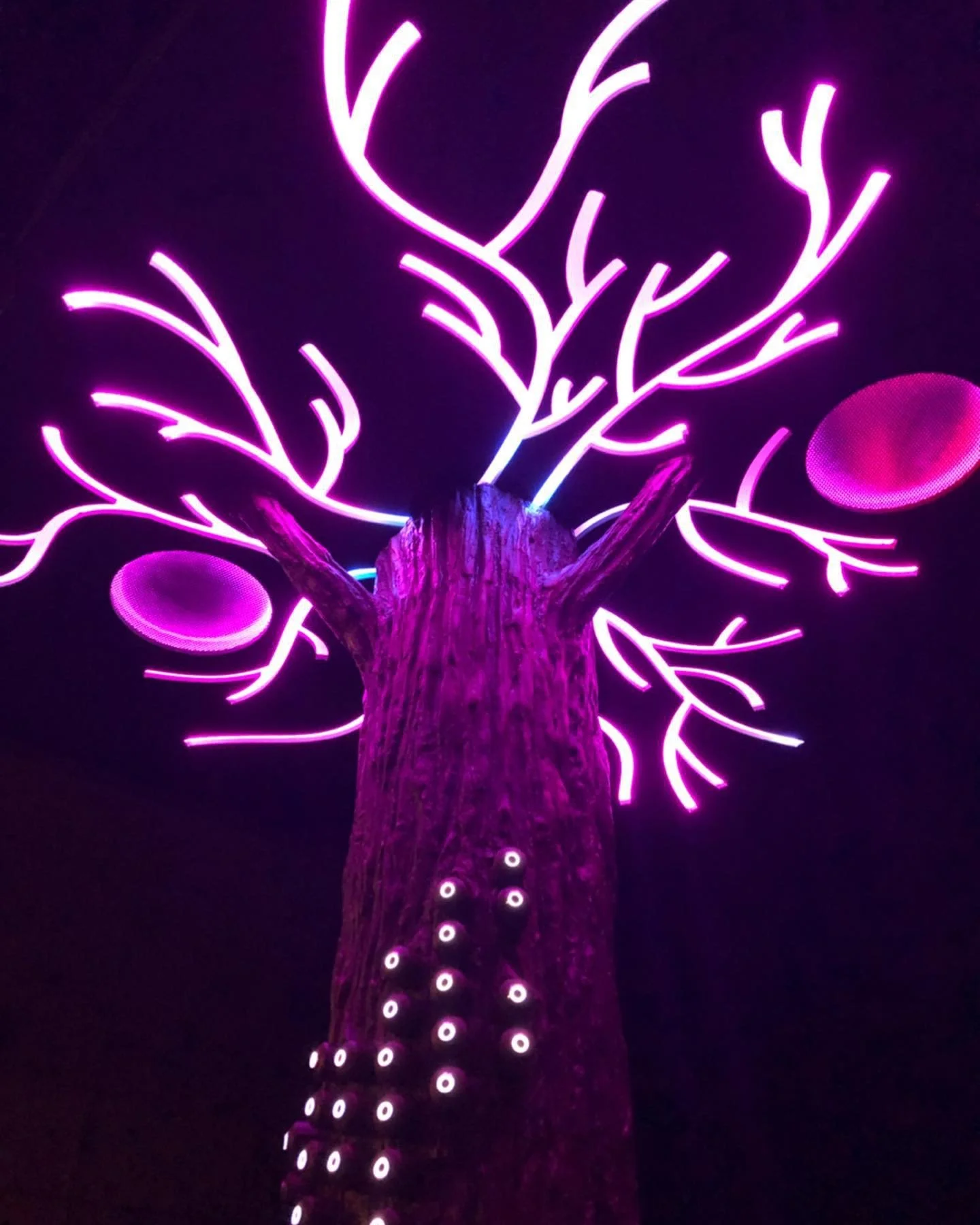The Singing Tree lit up (2019)
Anythink Library, Pearl Mack Branch
Scenic Charge Artist