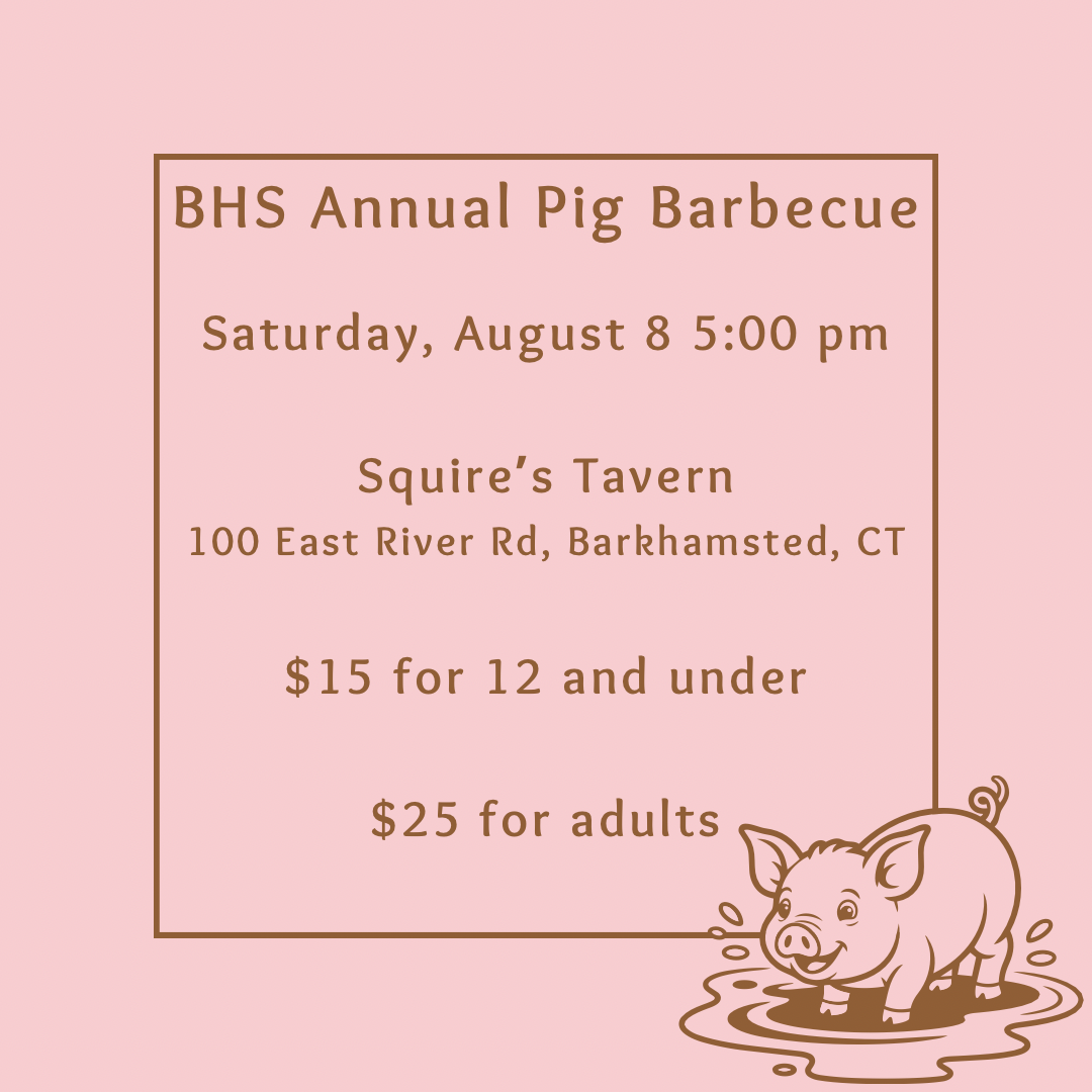 Kids Under 12 - Pig BBQ