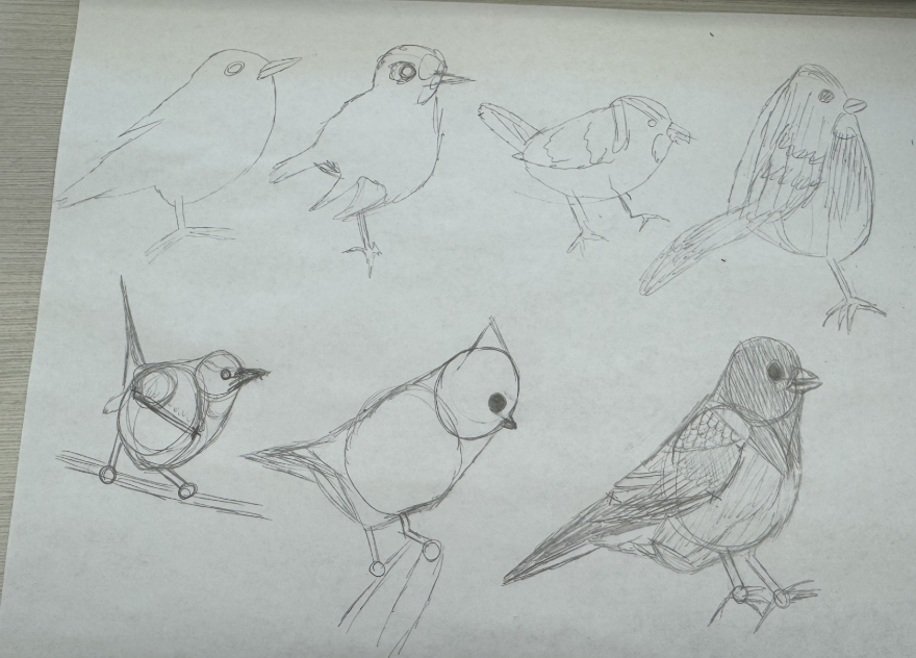 Banner immage with a series of bird sketches in pencil