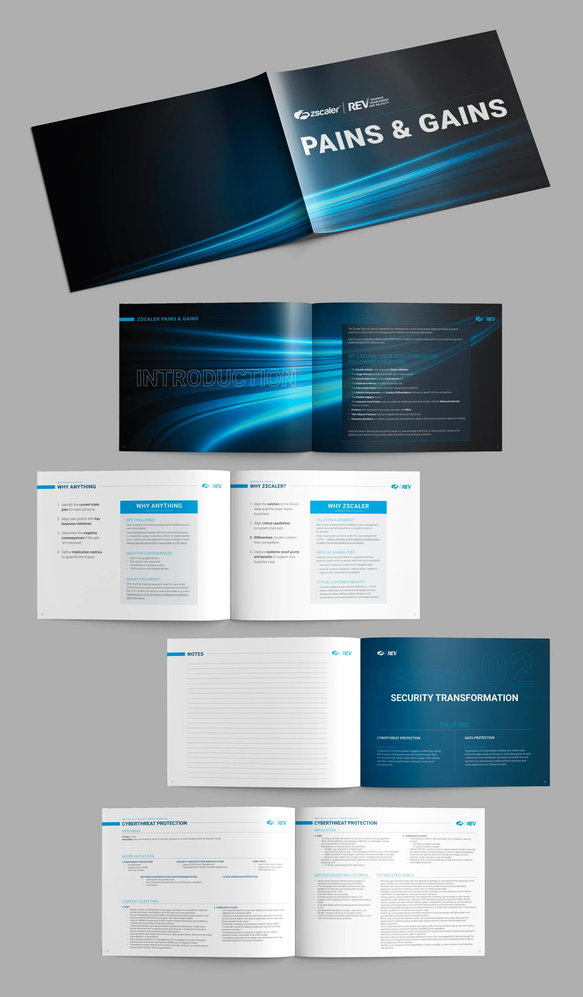  Print piece sent to all sales reps as an on-hand guide.  This was also converted to a Powerpoint file and hosted on the internal website. 