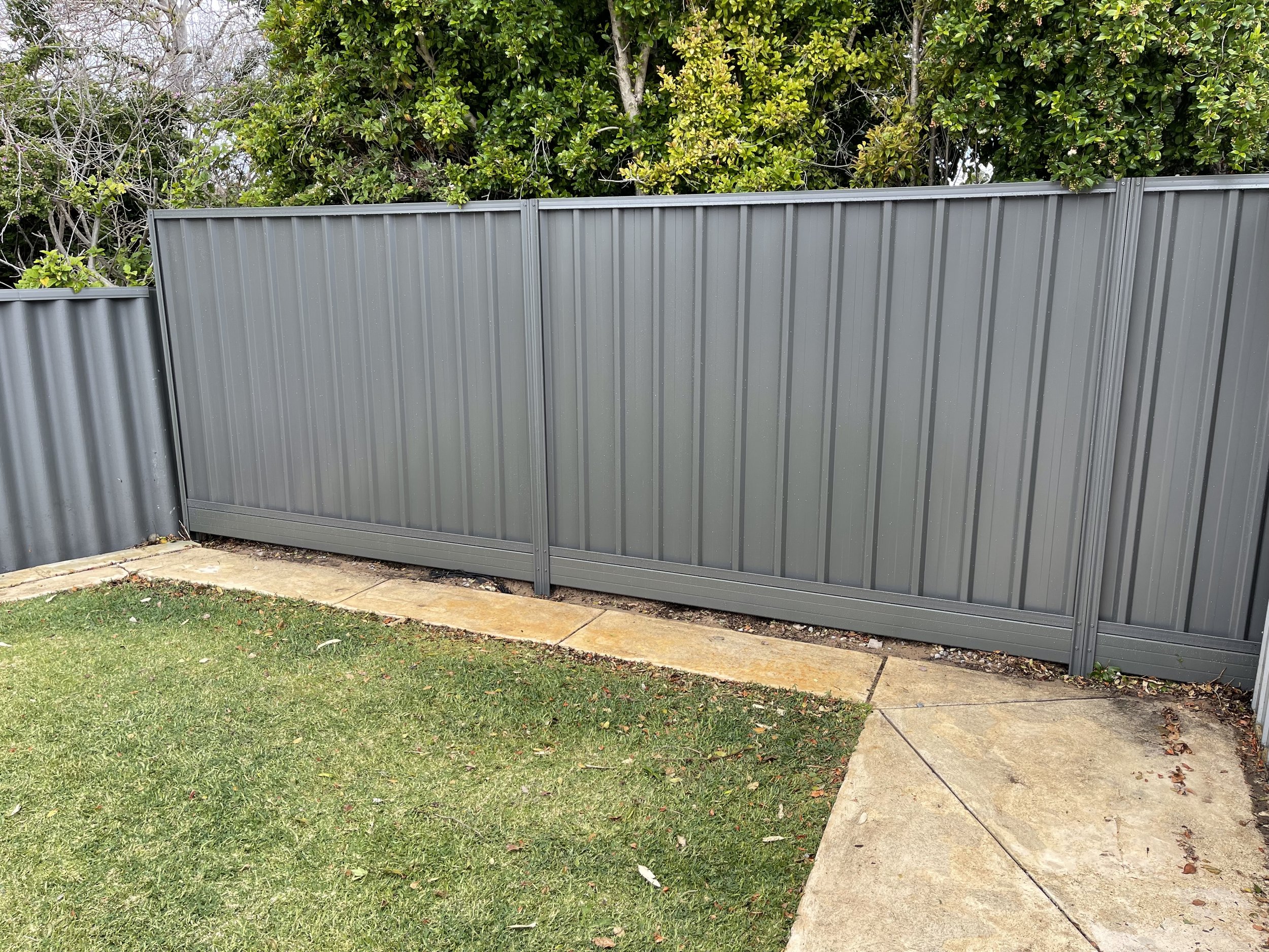 Gray metal fence surrounding a grassy yard with a concrete sidewalk and green shrubbery behind