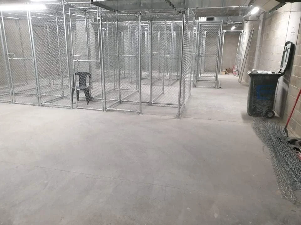 Empty indoor animal shelter cages with a black chair in one cage corner, a trash bin on the side, and construction materials on the back wall.