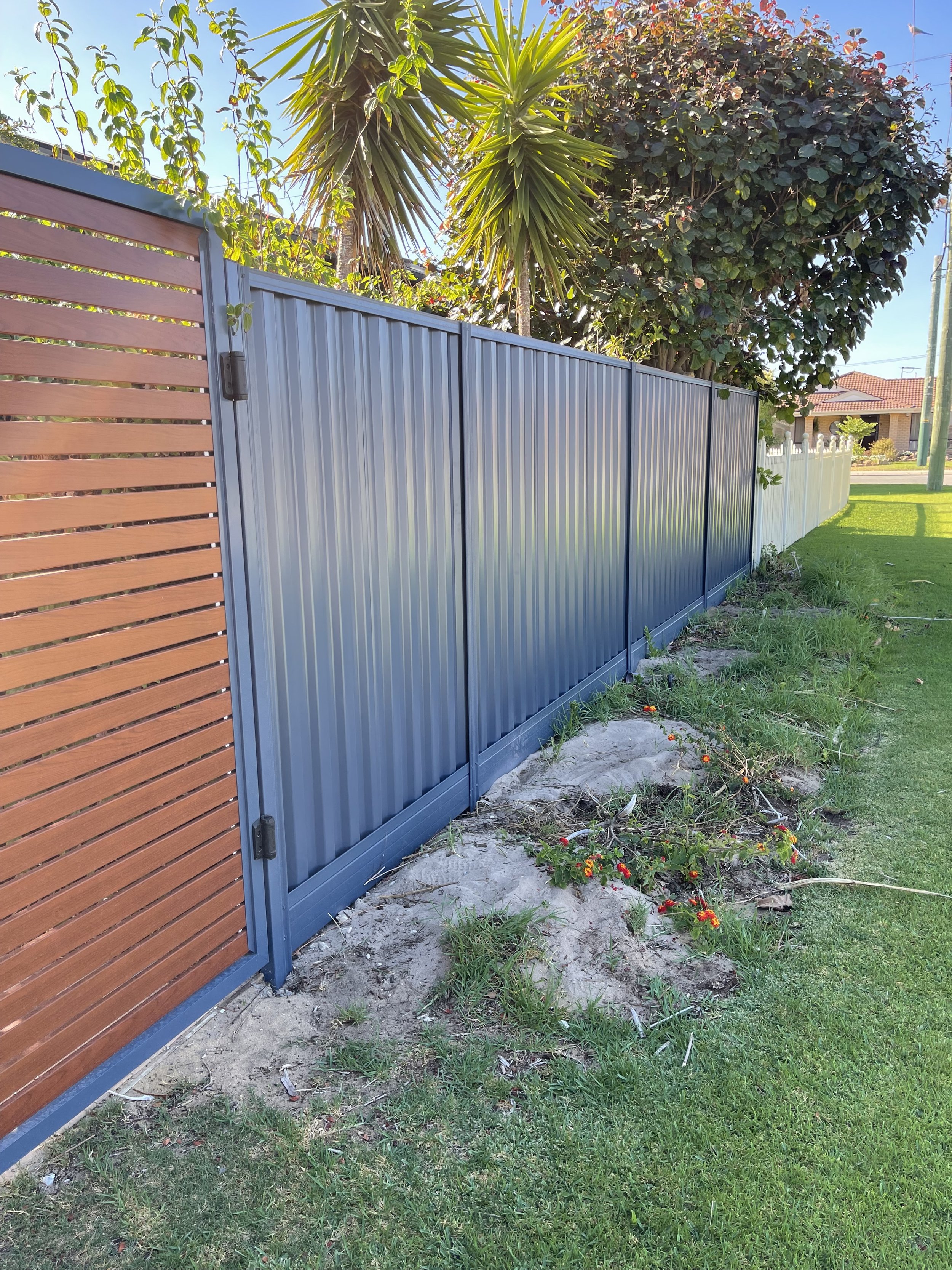 A backyard with a modern blue metal fence, some plants, flowers, grass, and trees under a sunny sky.
