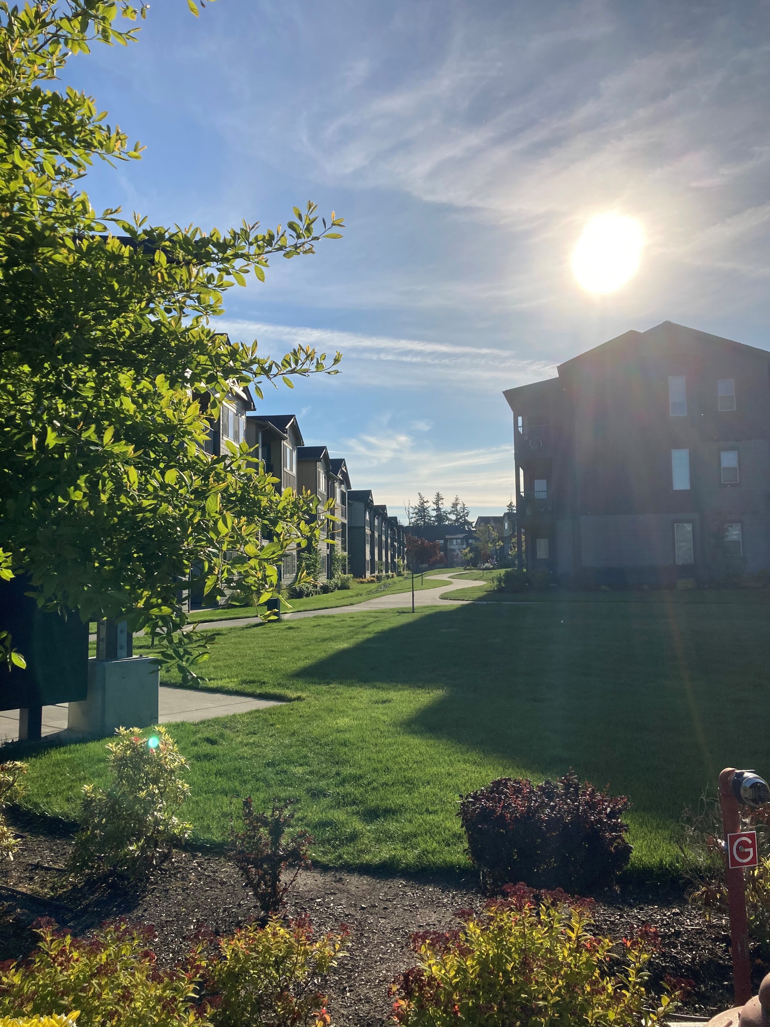 Photo of apartments behind a grassy field with the sun prominent in the blue sky