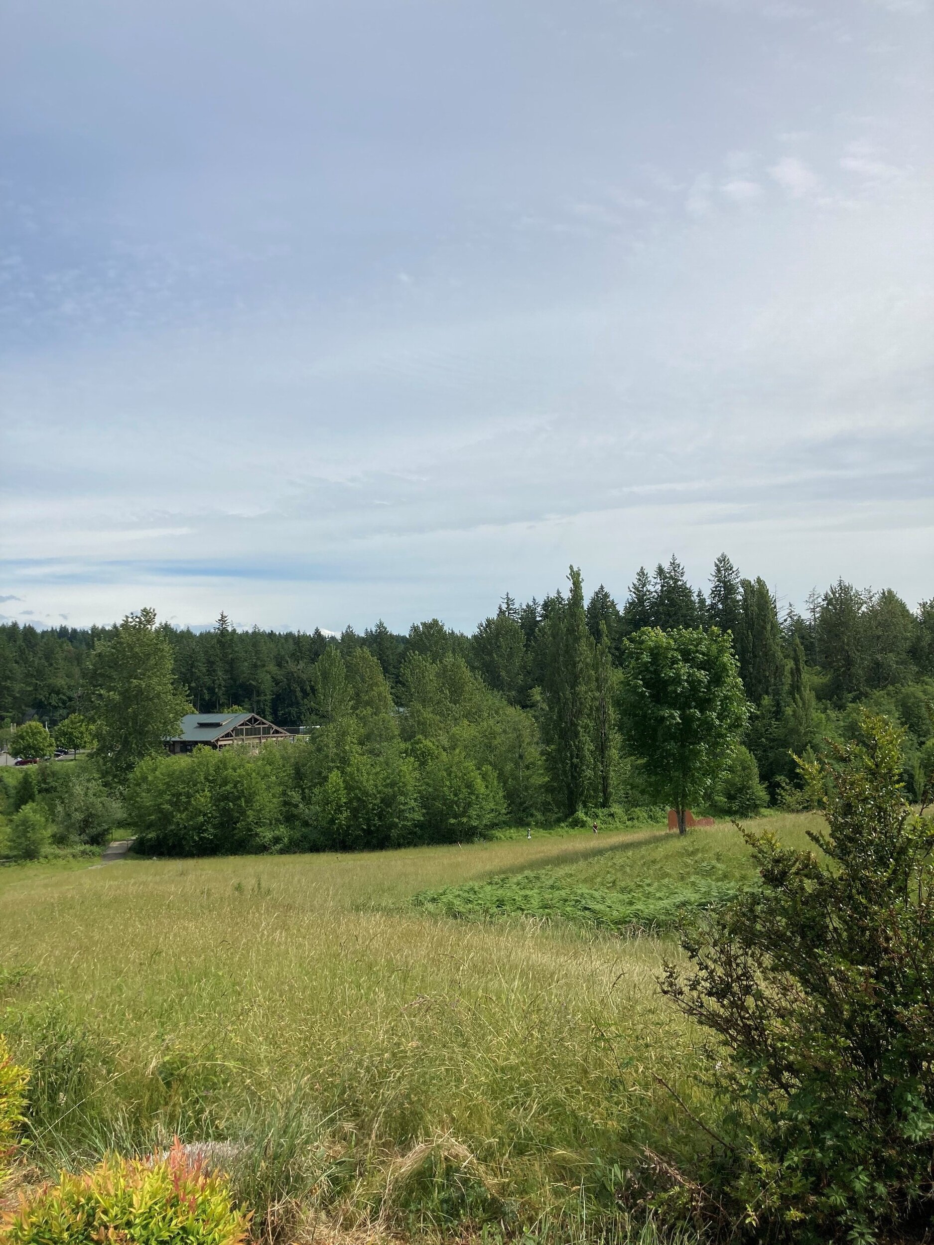 Trails at Sehmel Park with wildflowers, evergreen trees and trails