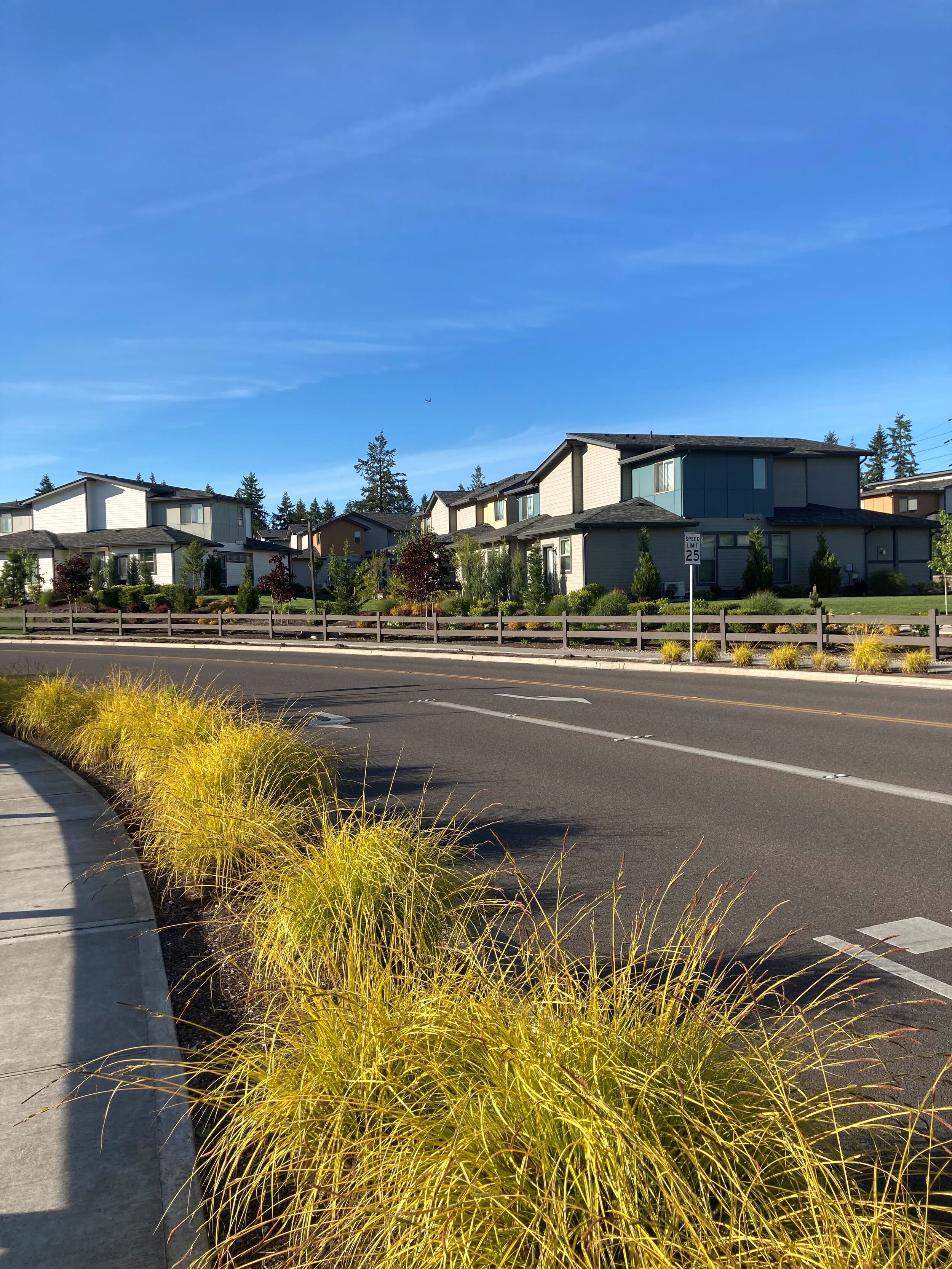 Entrance to housing community with bushes in the landscaping and homes in the background