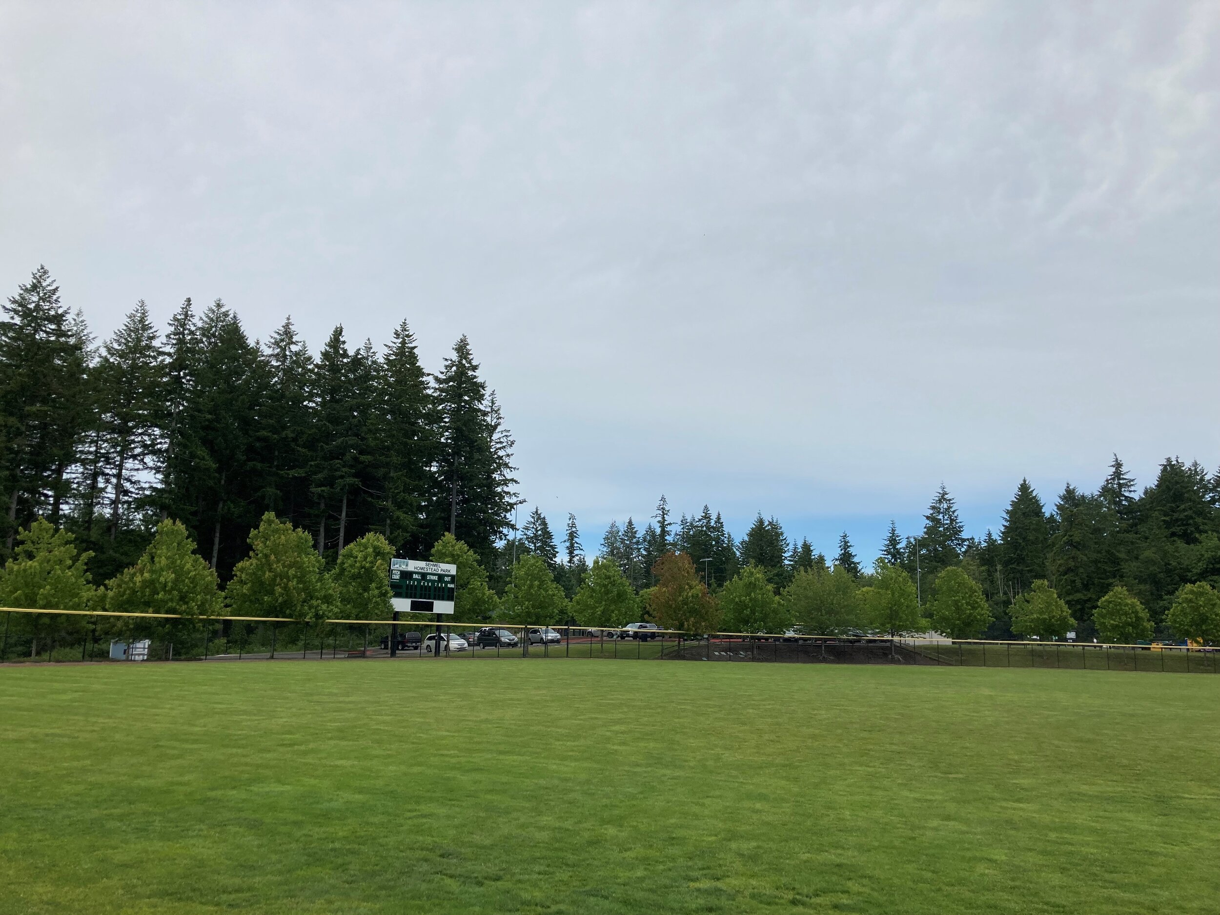 View of the open grass baseball fields at Sehmel Park surrounded by evergreen trees