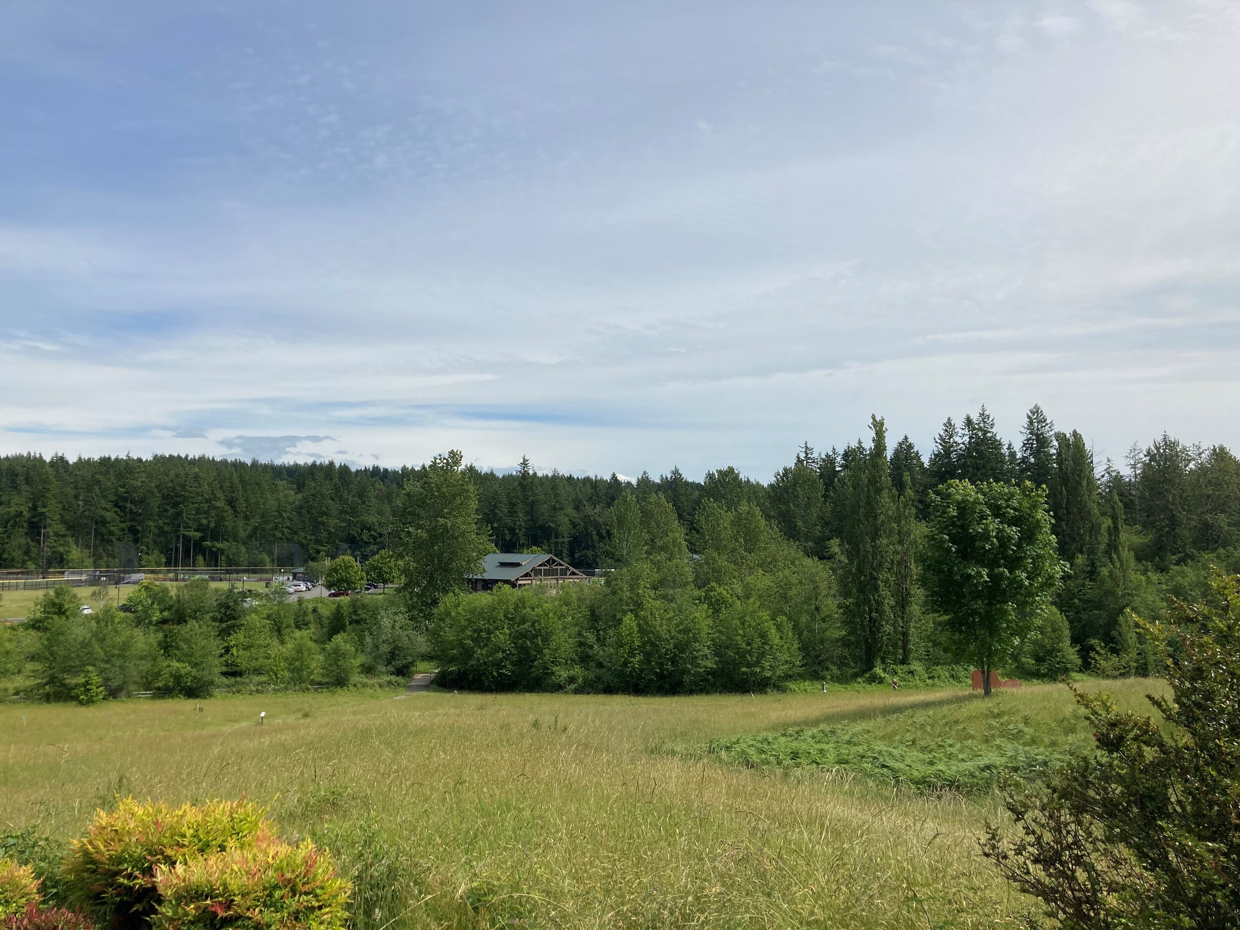View of Sehmel Park trails in the green open field surrounded by evergreen trees and blue skyline