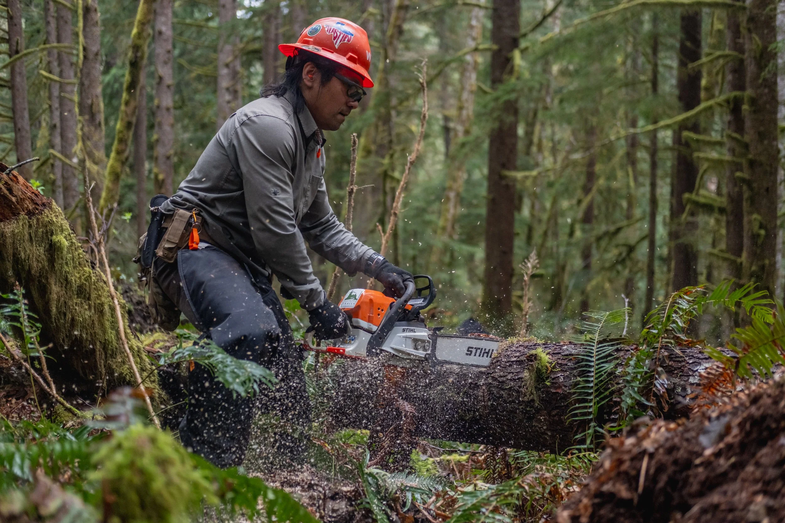 Recap: Cispus Chainsaw Collaborative — OROGENESIS | A new way on old ...