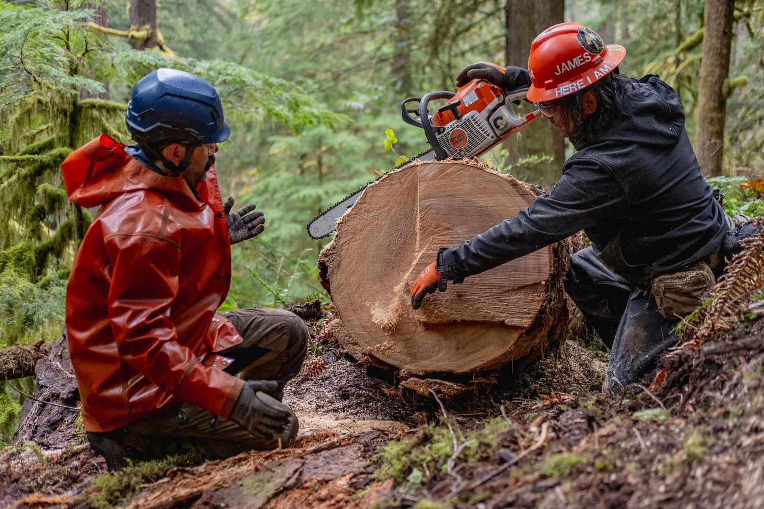 Recap: Cispus Chainsaw Collaborative — OROGENESIS | A new way on old ...