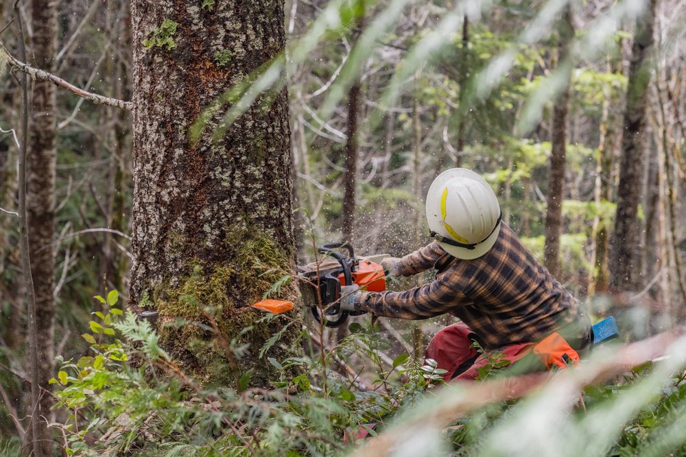 Recap: Cispus Chainsaw Collaborative — OROGENESIS | A new way on old ...