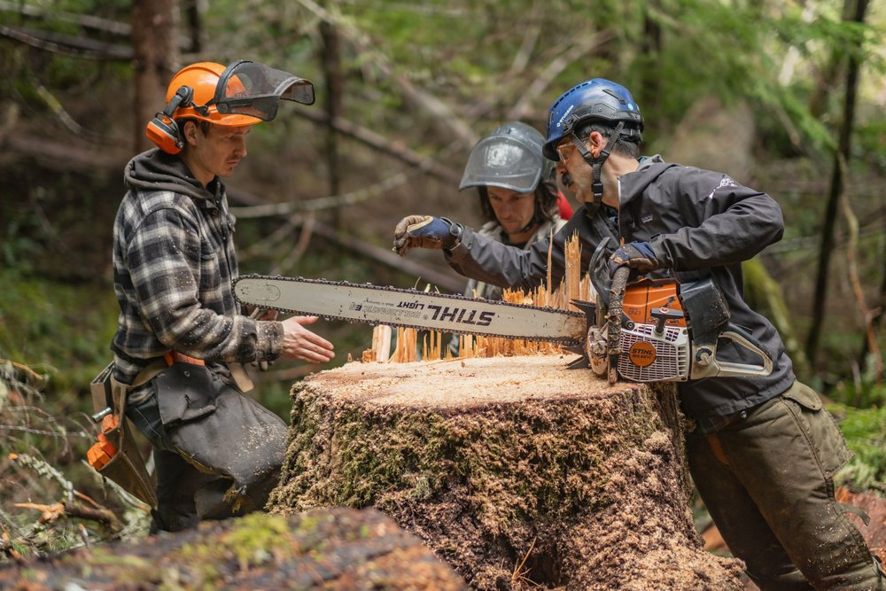 Recap: Cispus Chainsaw Collaborative — OROGENESIS | A new way on old ...