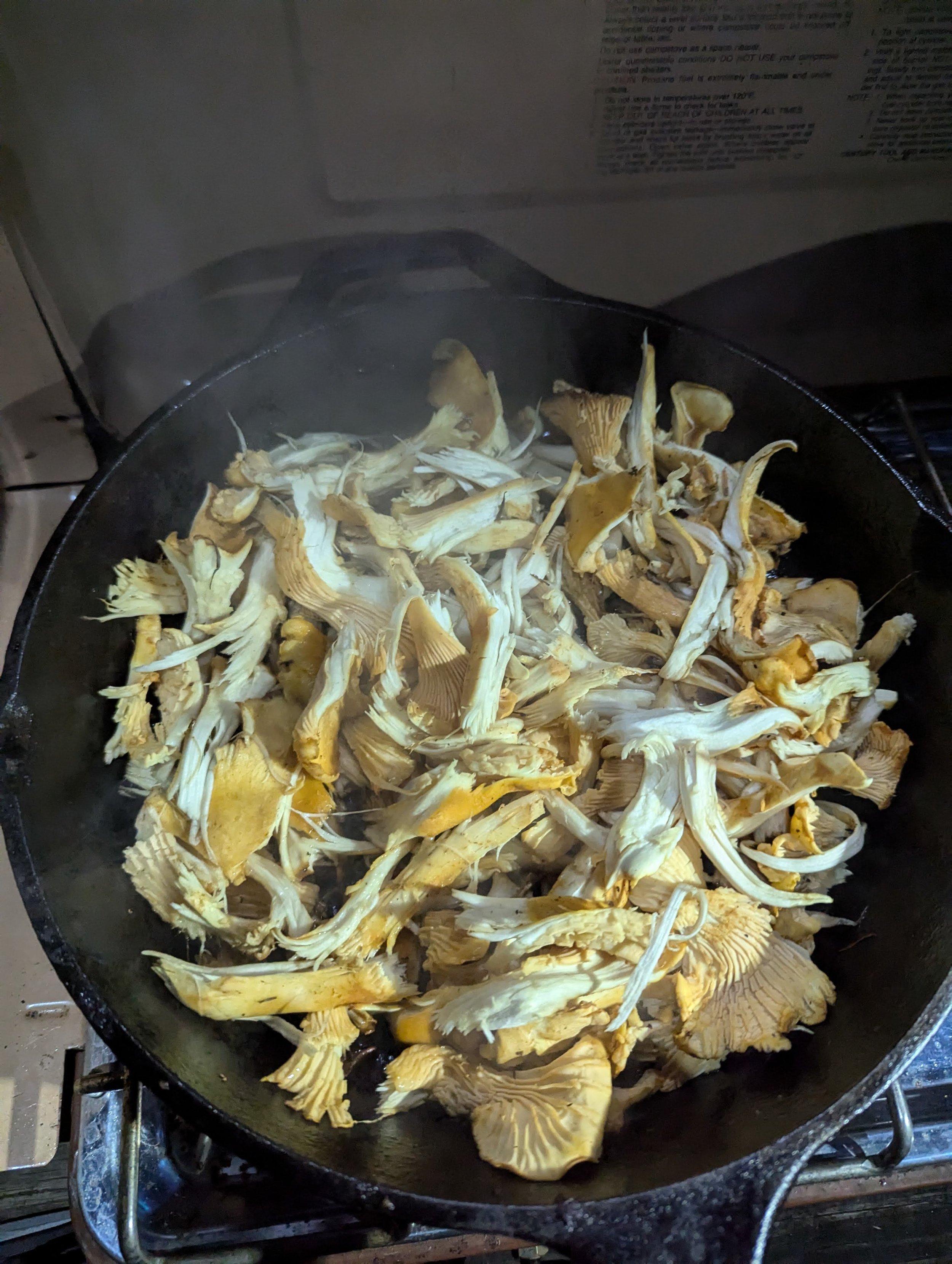 Chantrelles.jpg