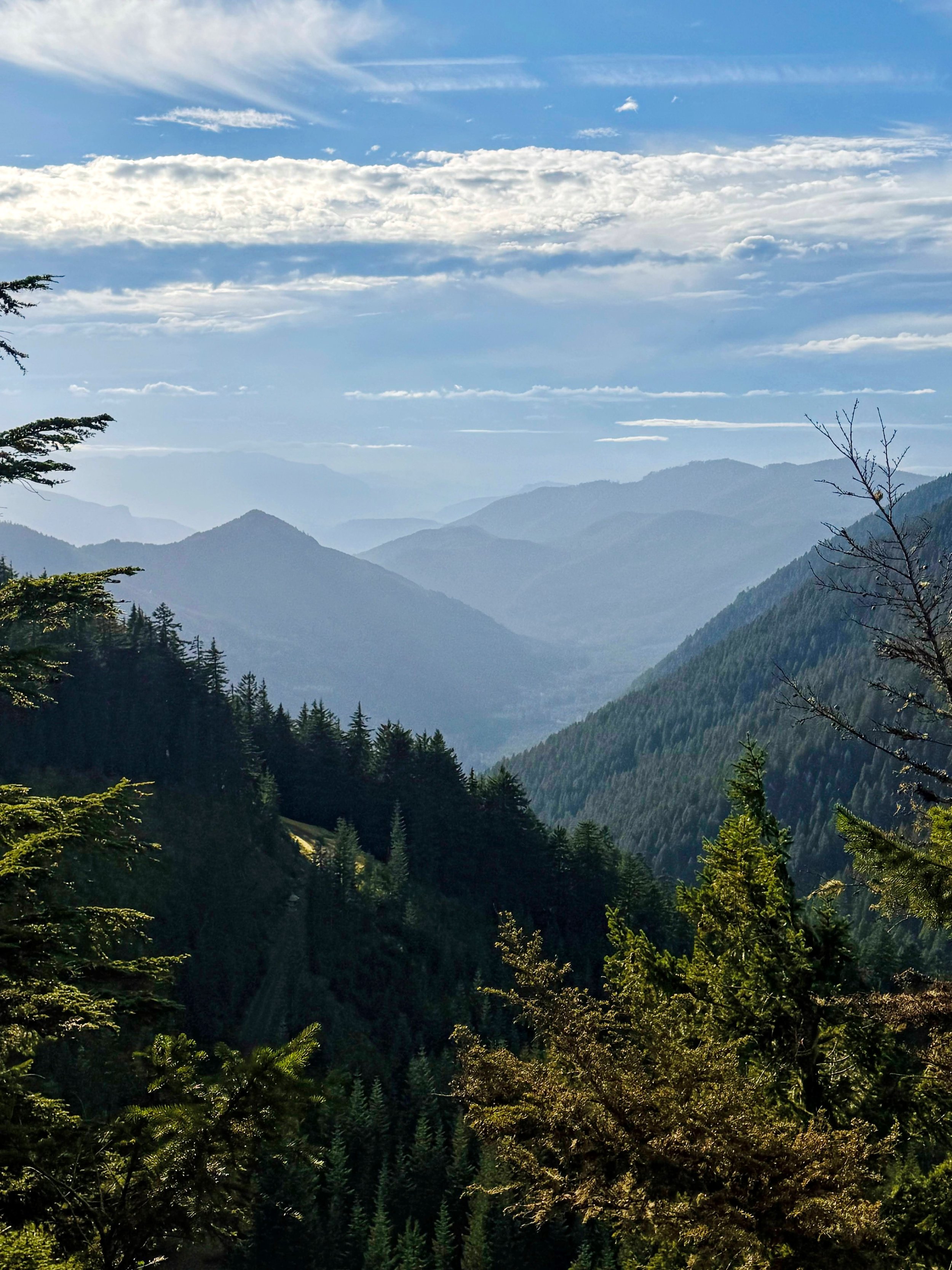 late afternoon sun.jpg