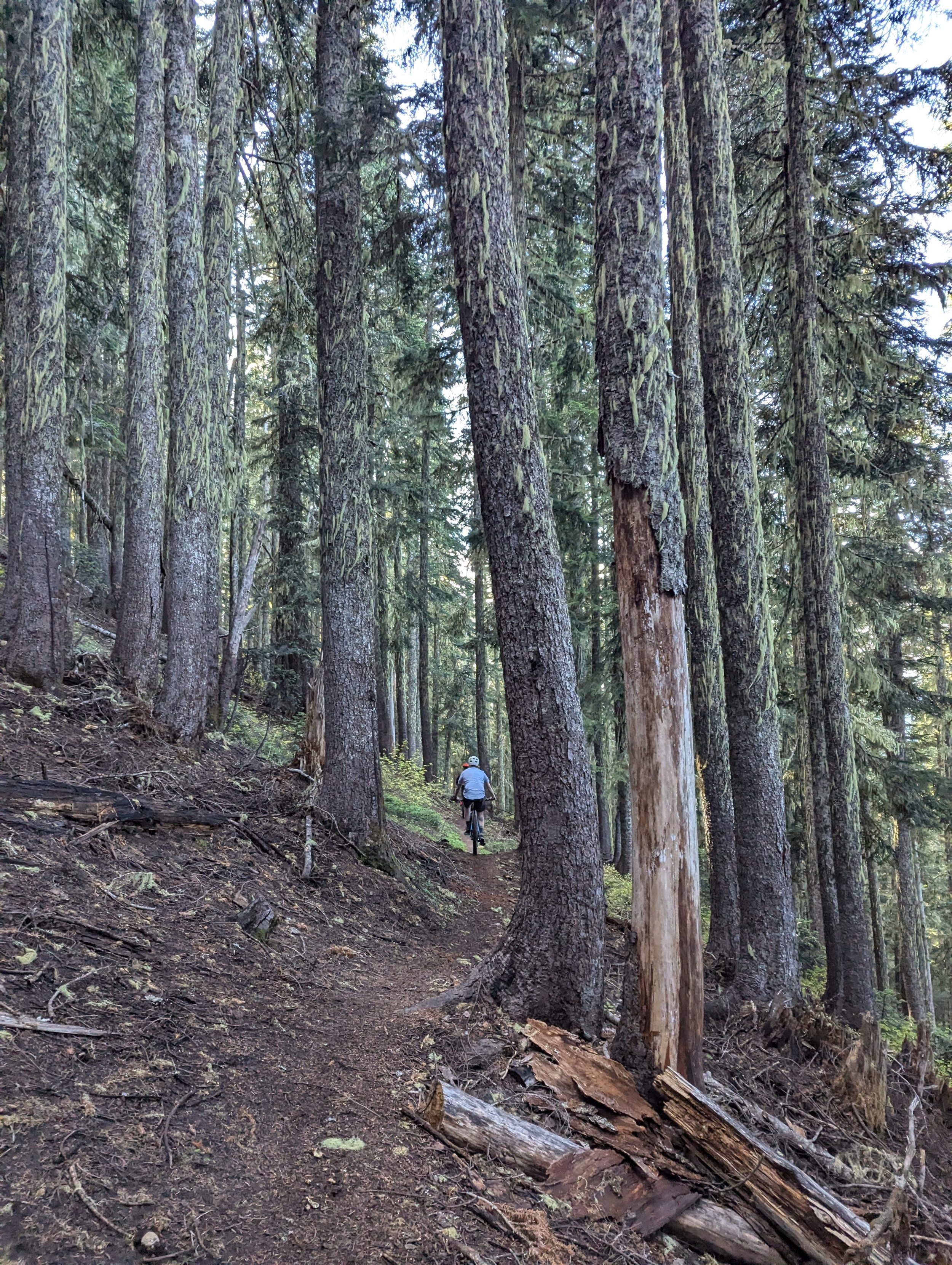 loamy paradise.jpg