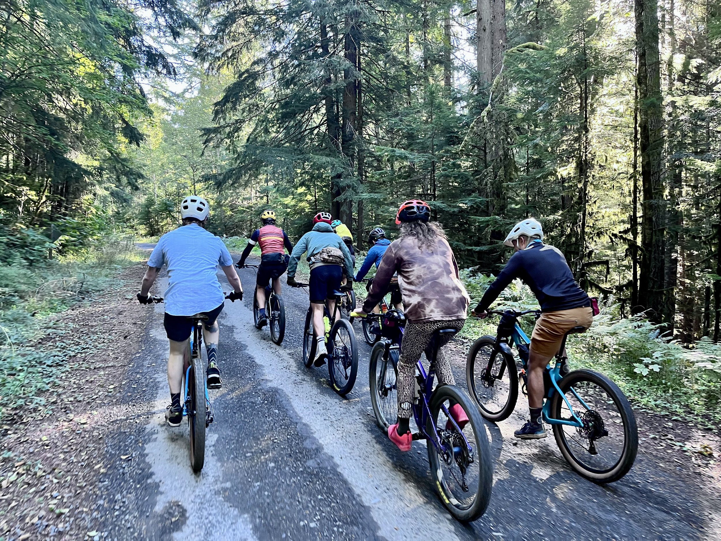 squad climbs thru forested Cispus River.jpg