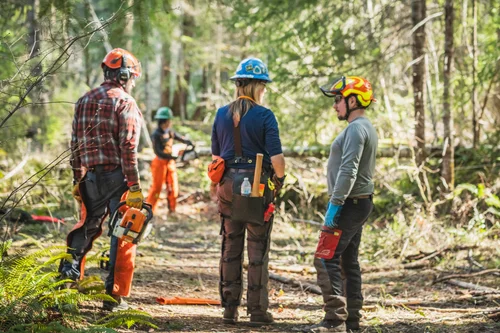 Recap: 4th Annual Cispus Collaborative Chainsaw Training — OROGENESIS ...