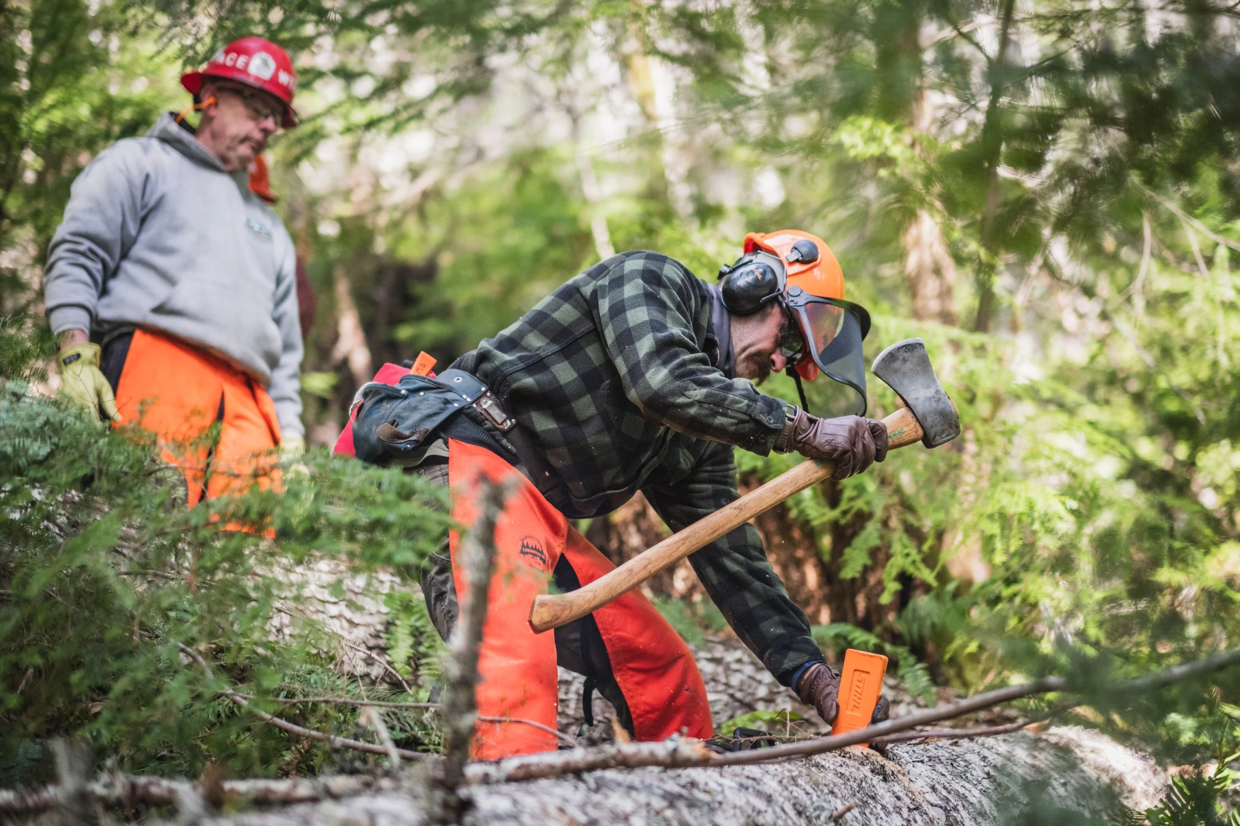 Recap: 4th Annual Cispus Collaborative Chainsaw Training — OROGENESIS ...