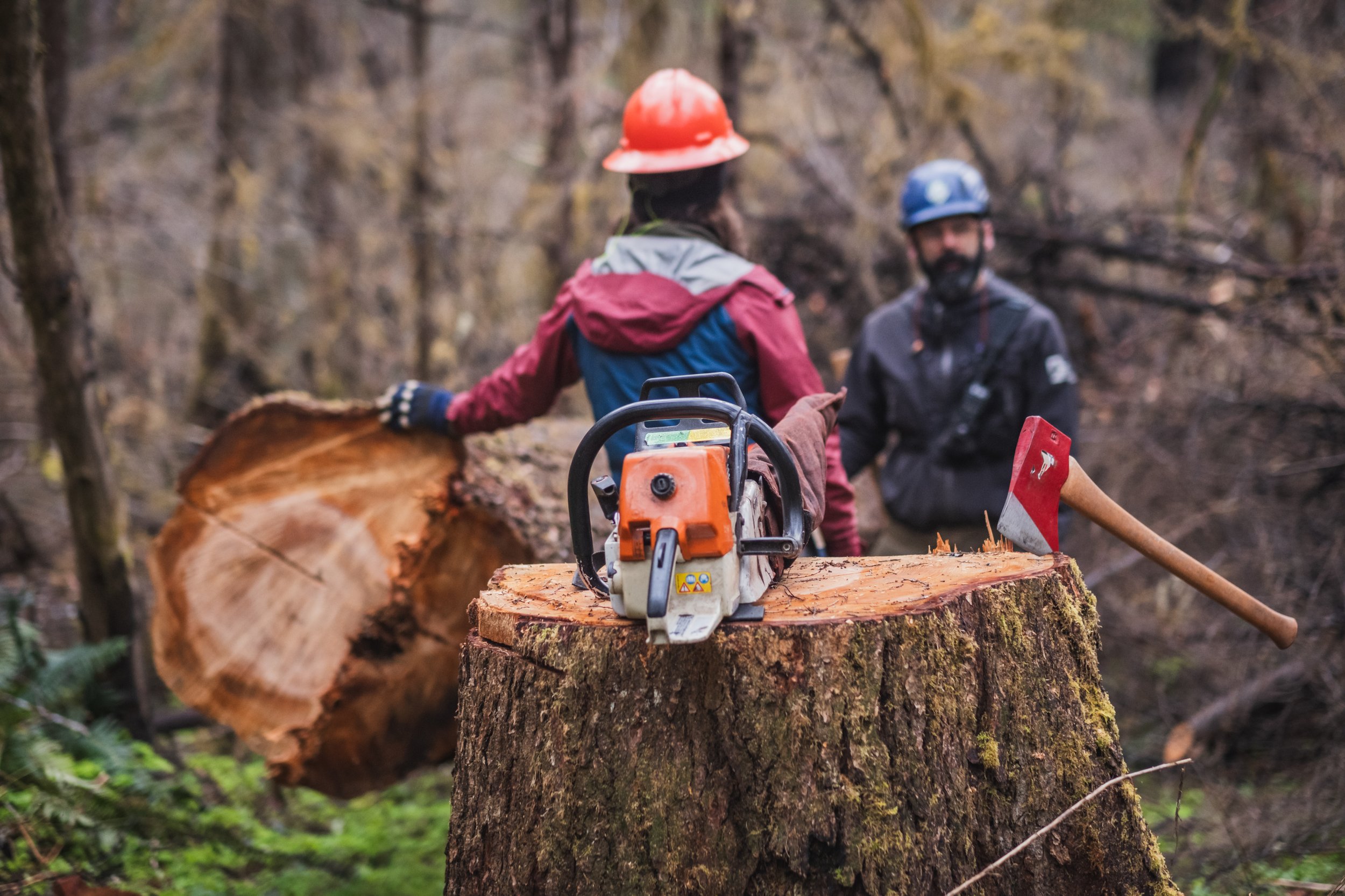 Recap: 4th Annual Cispus Collaborative Chainsaw Training — OROGENESIS ...