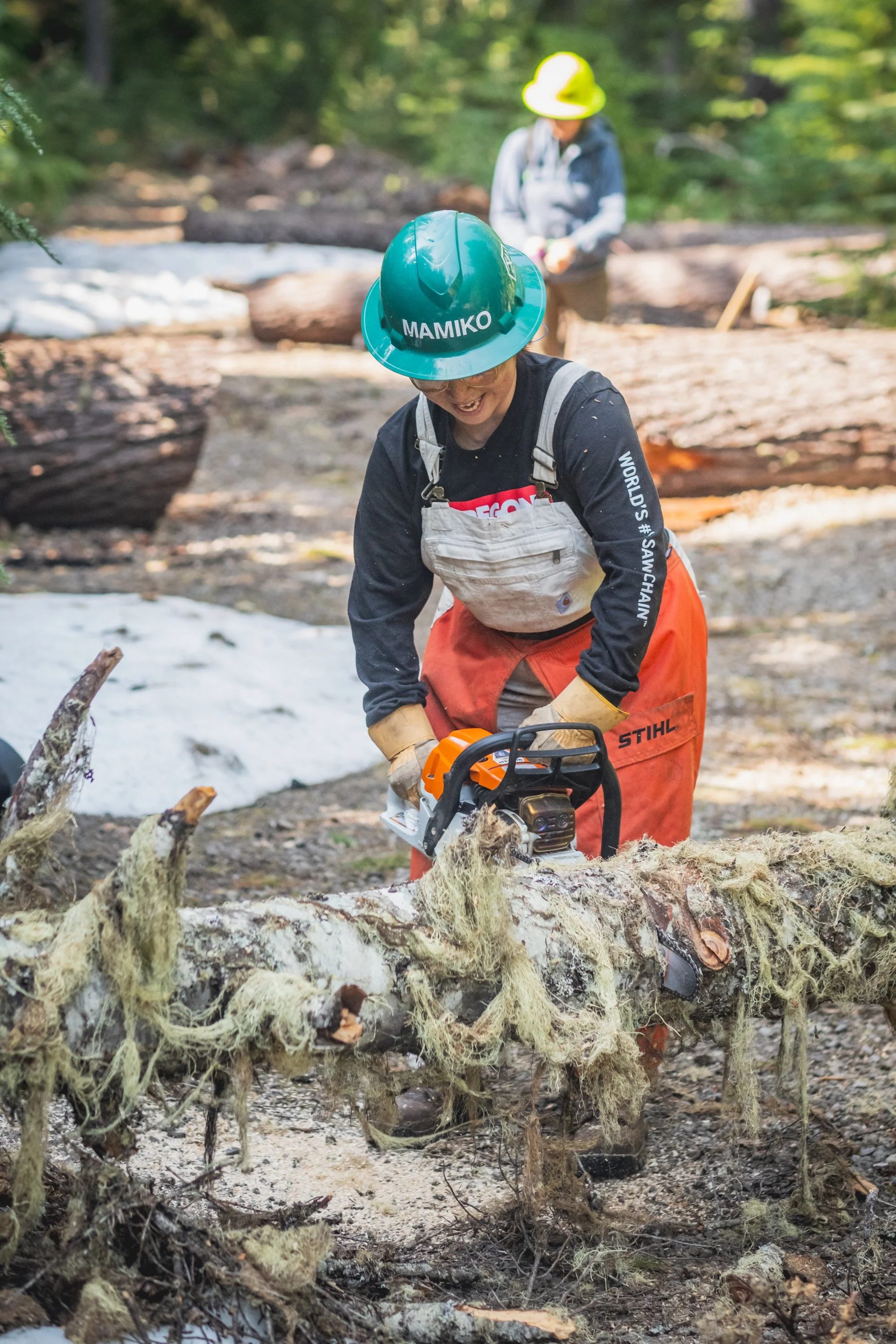 Ressurecting Rhozone 2025-29.jpg